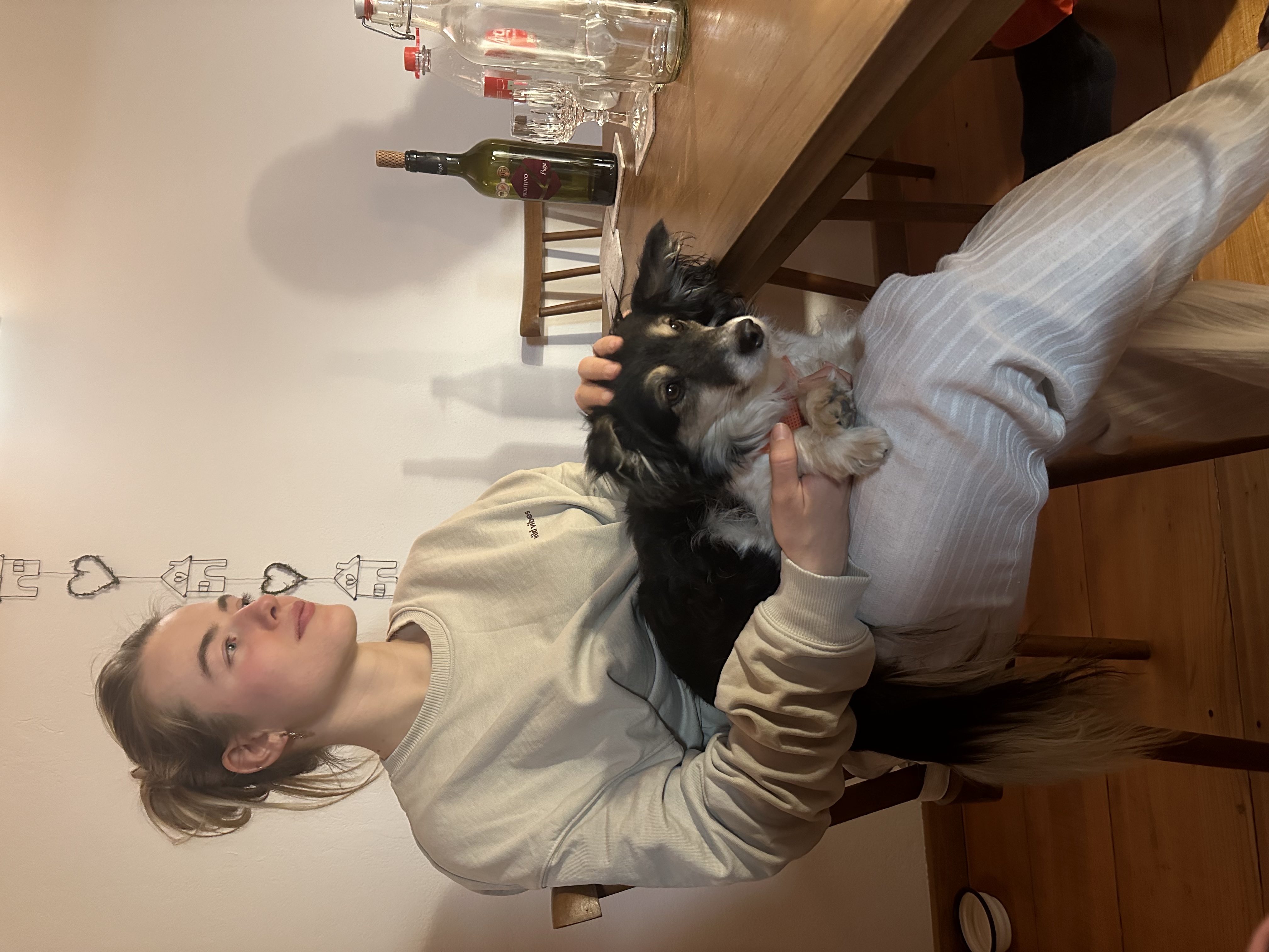 image-5