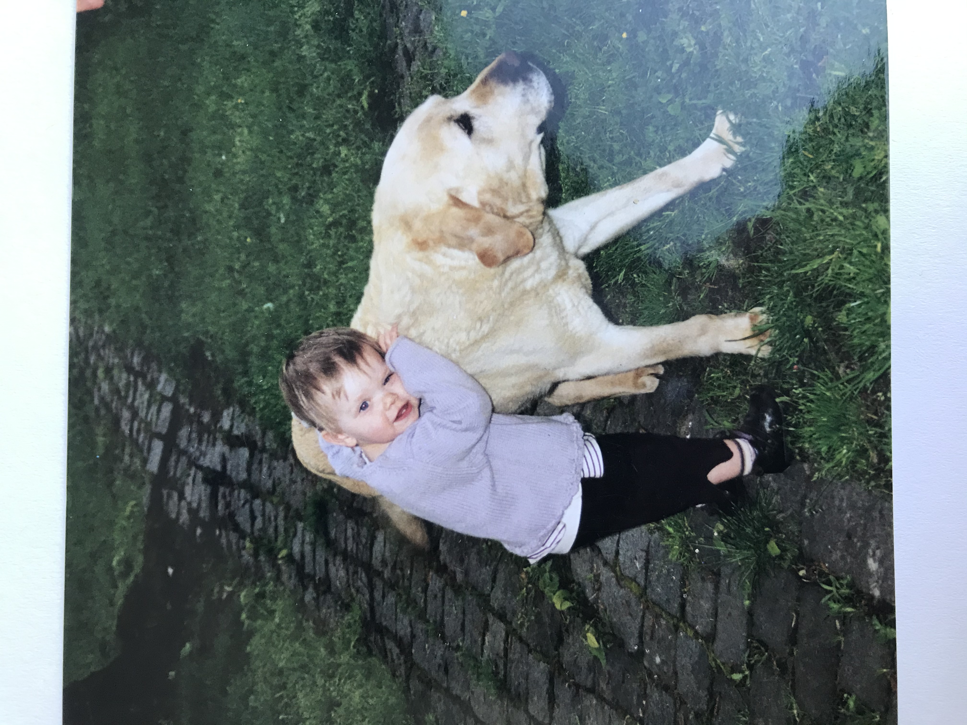 image-5