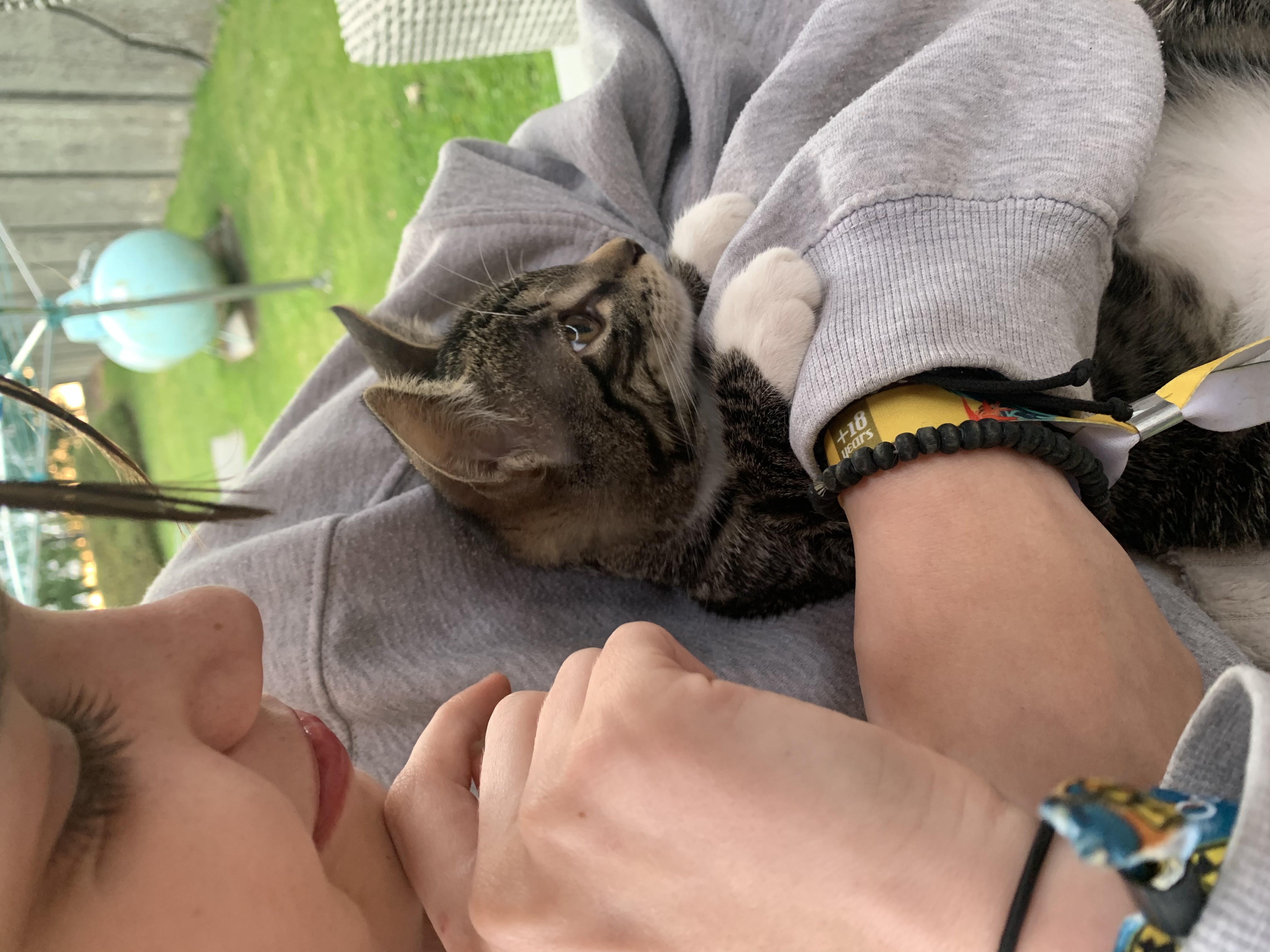 image-7