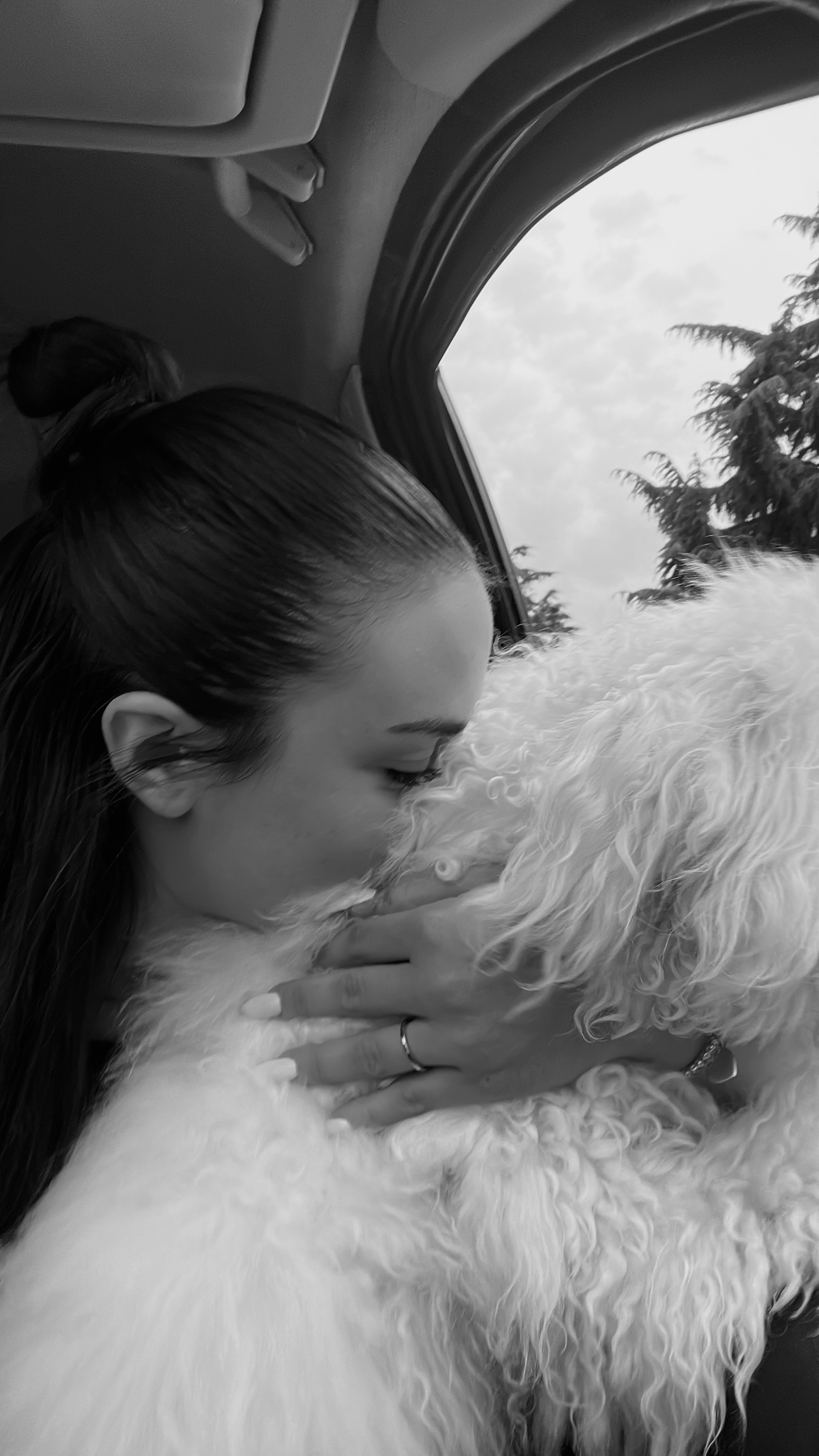 image-17