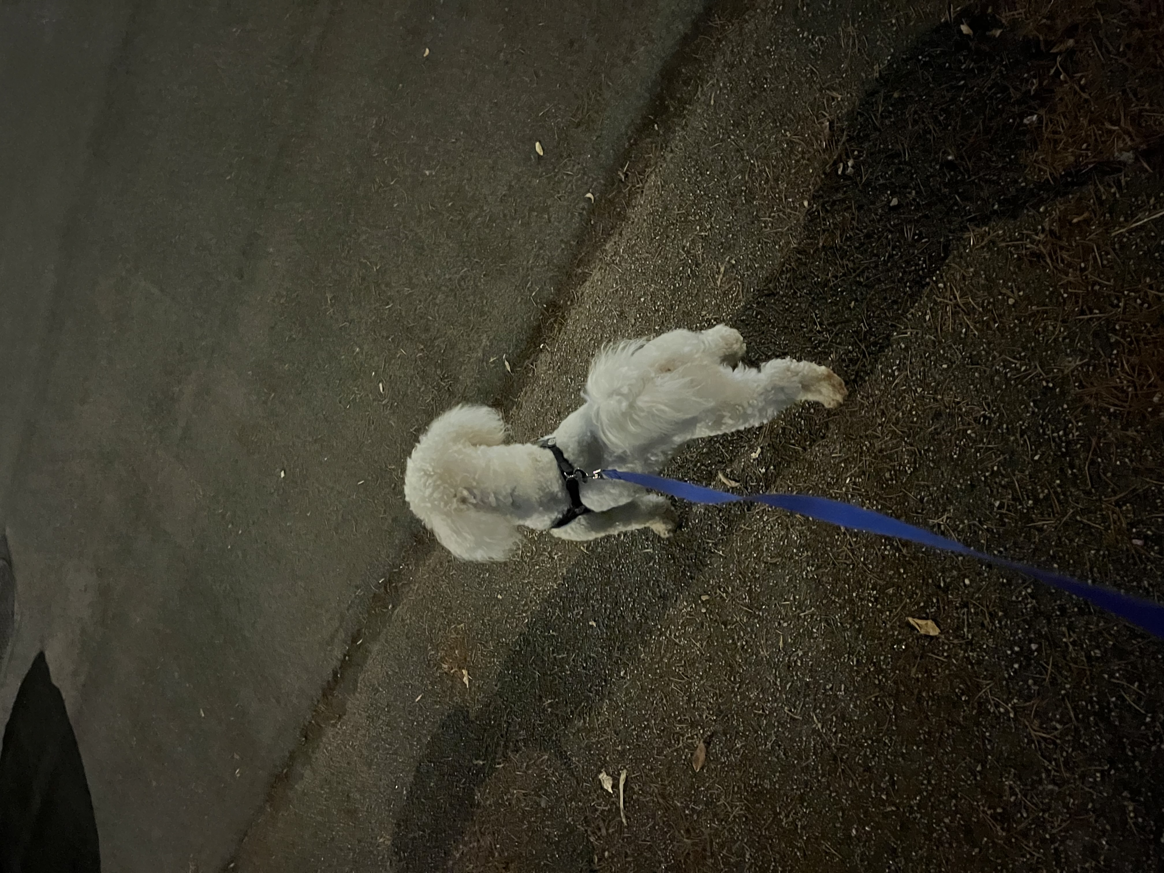 image-6