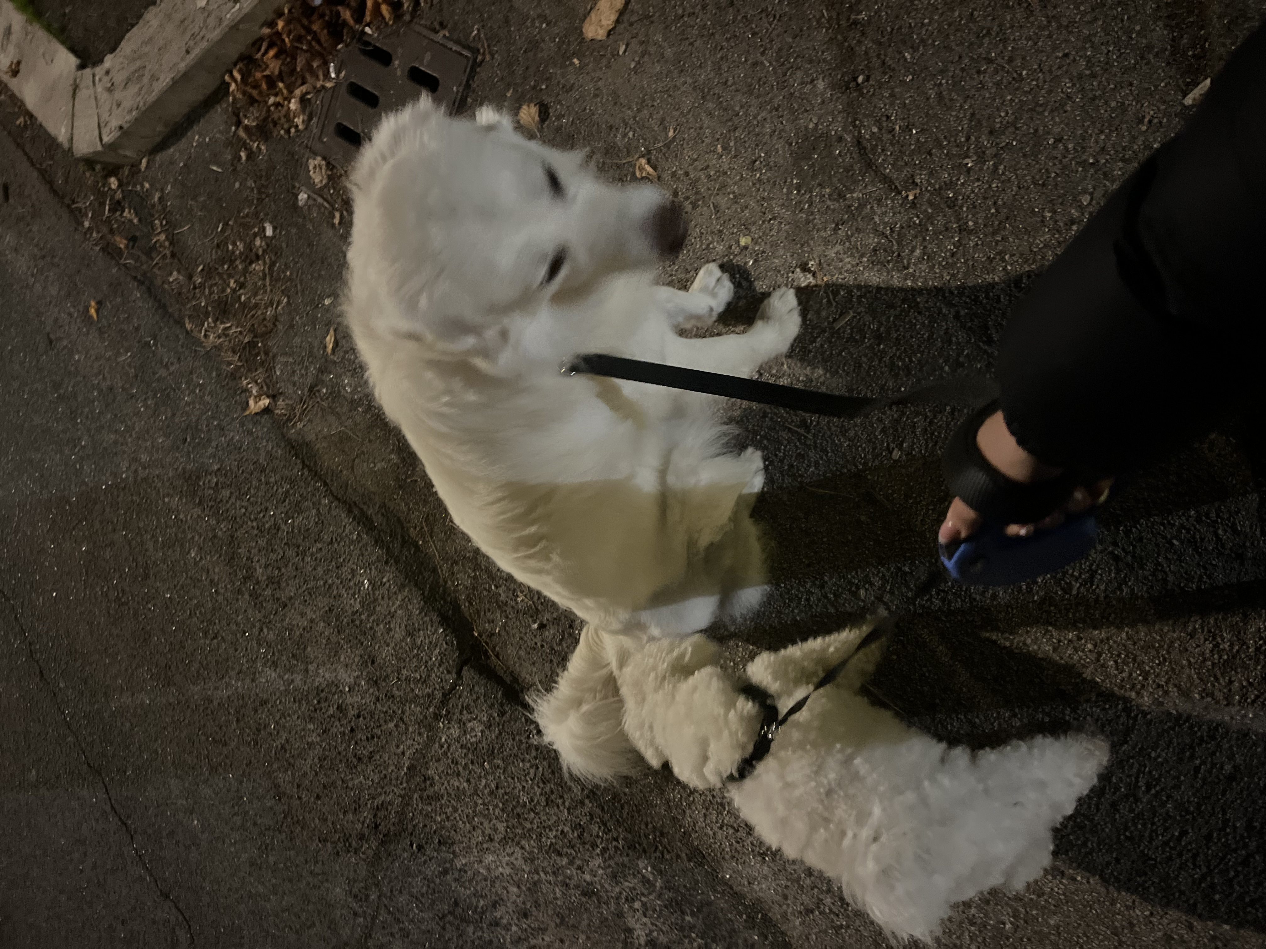 image-7
