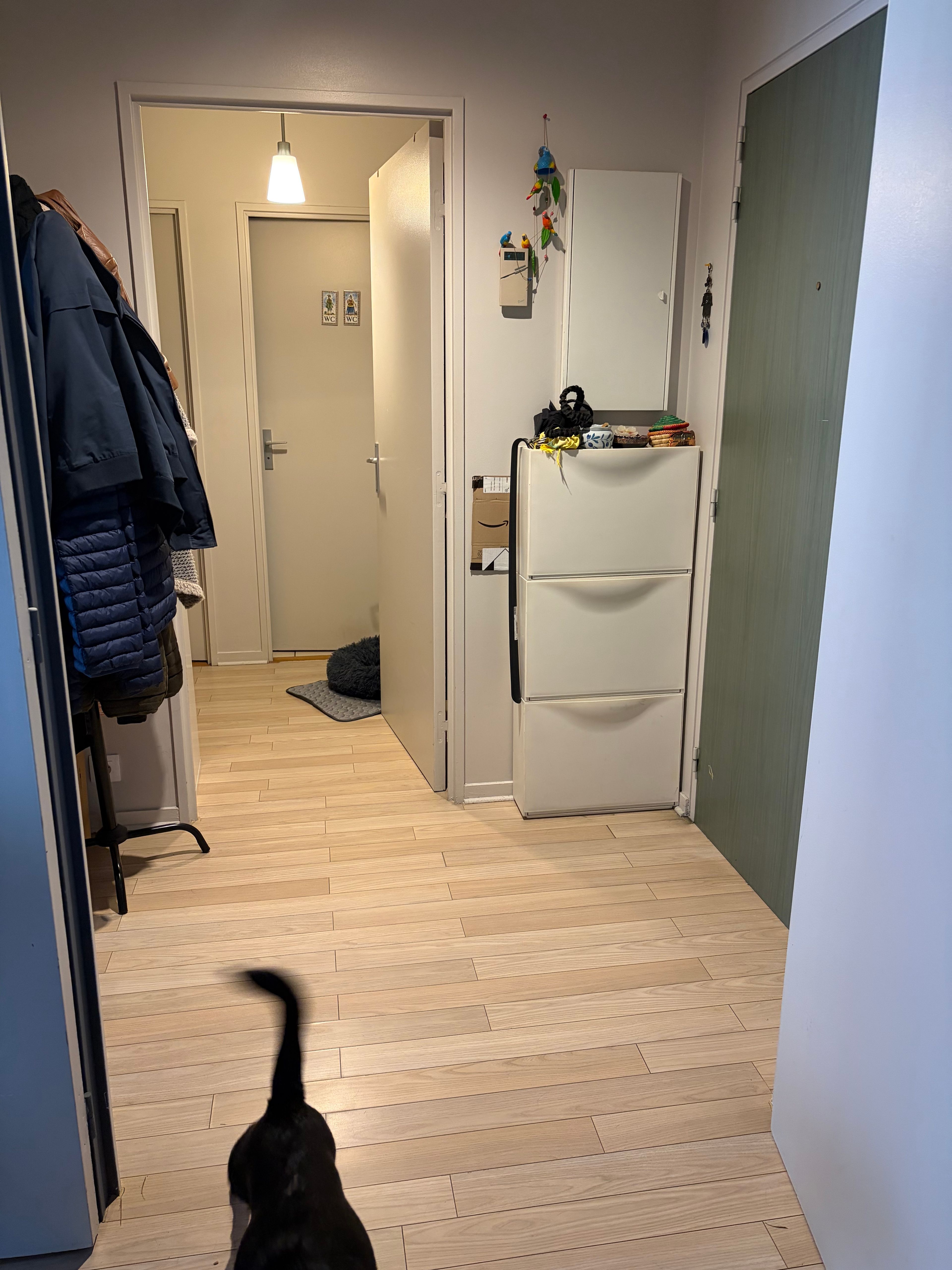 image-17