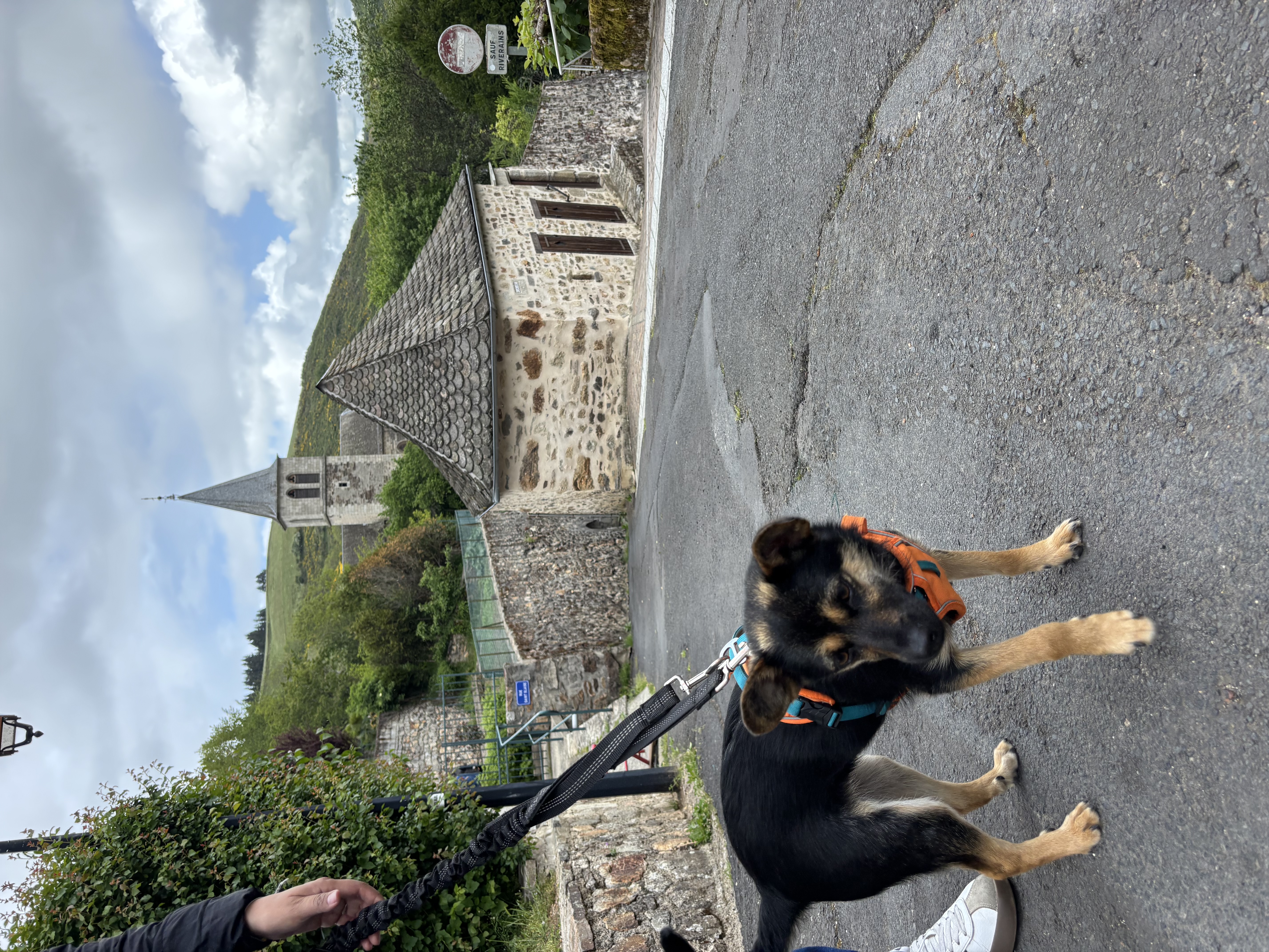 image-8