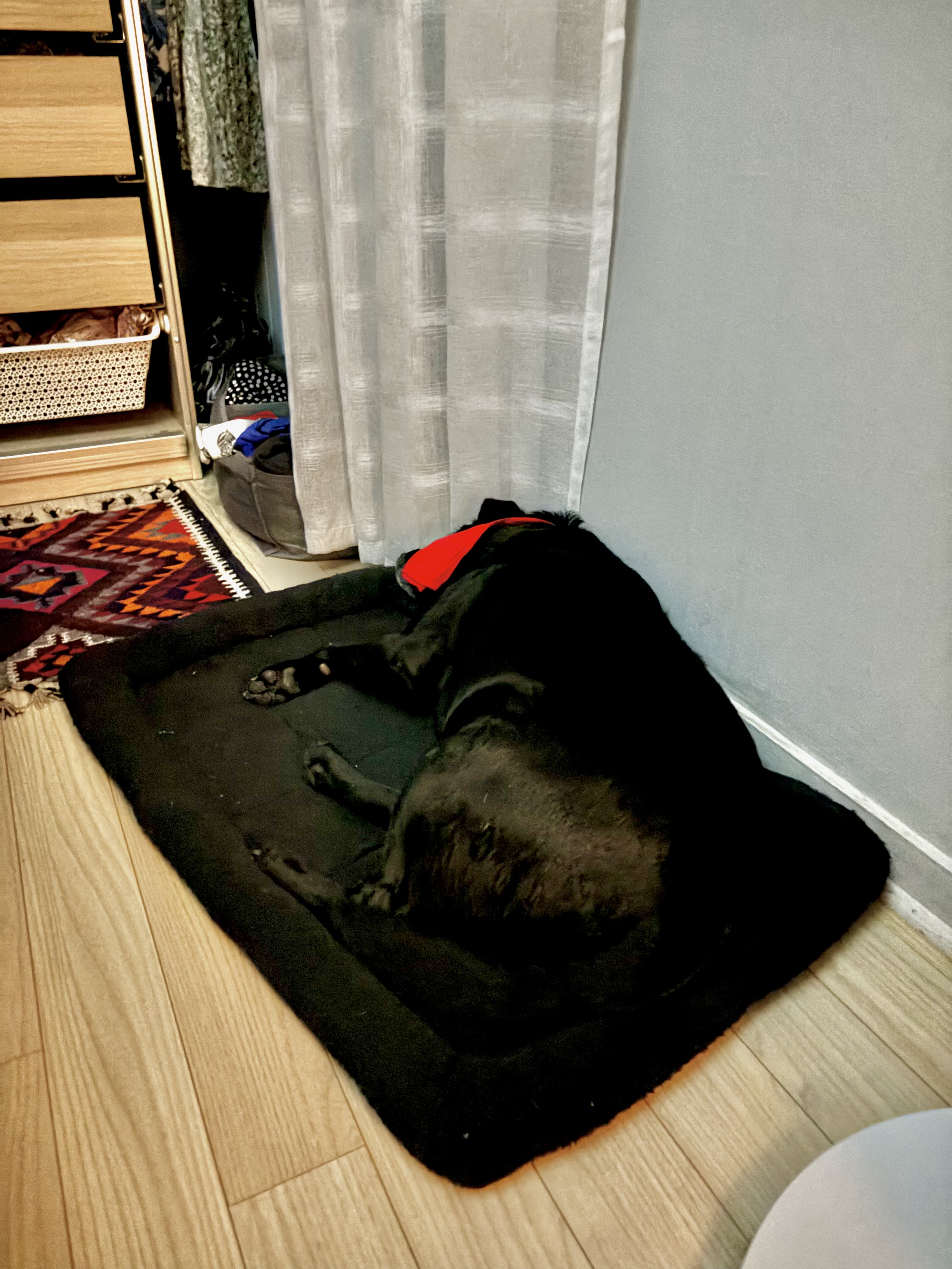 image-13