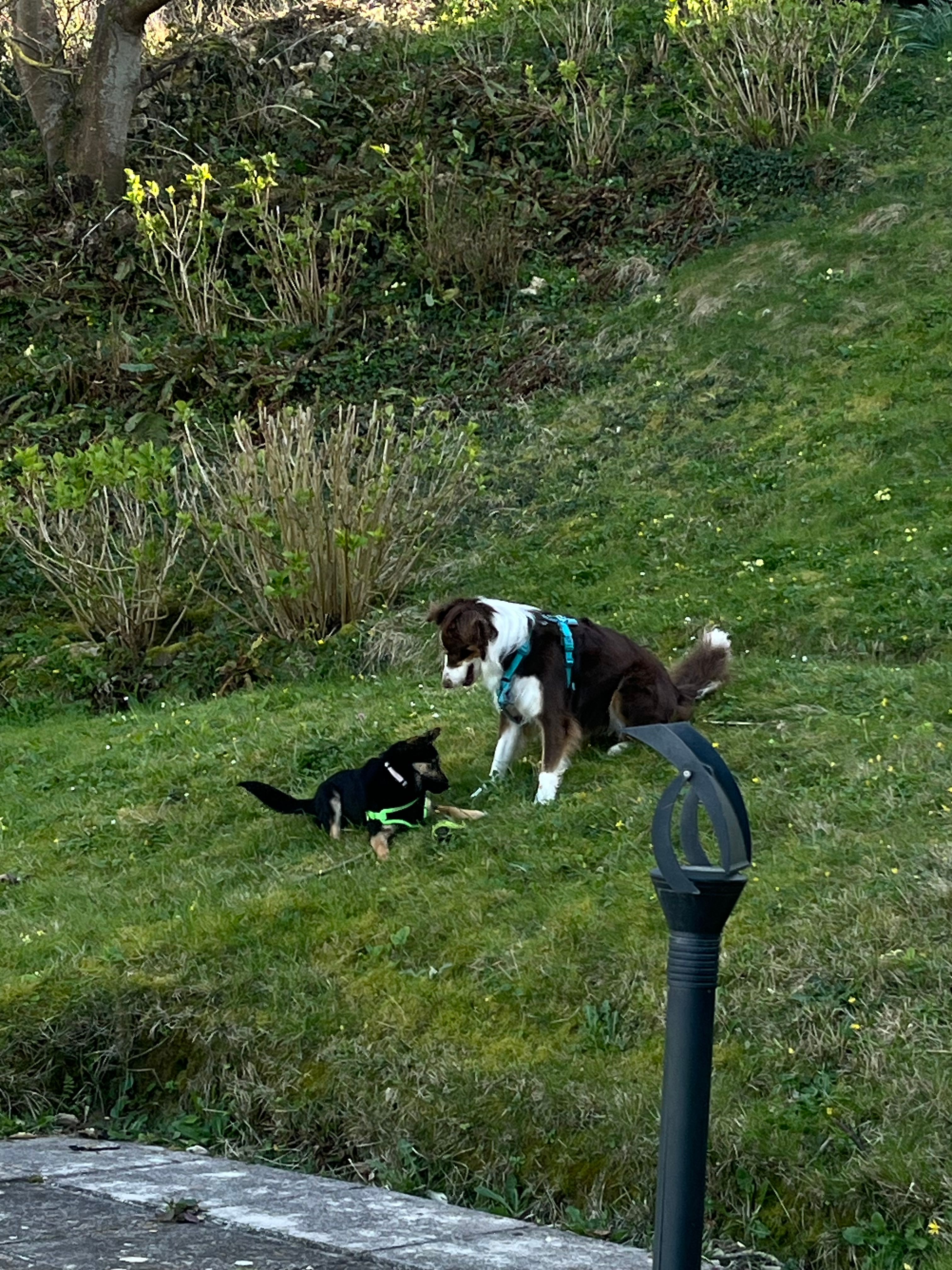 image-5