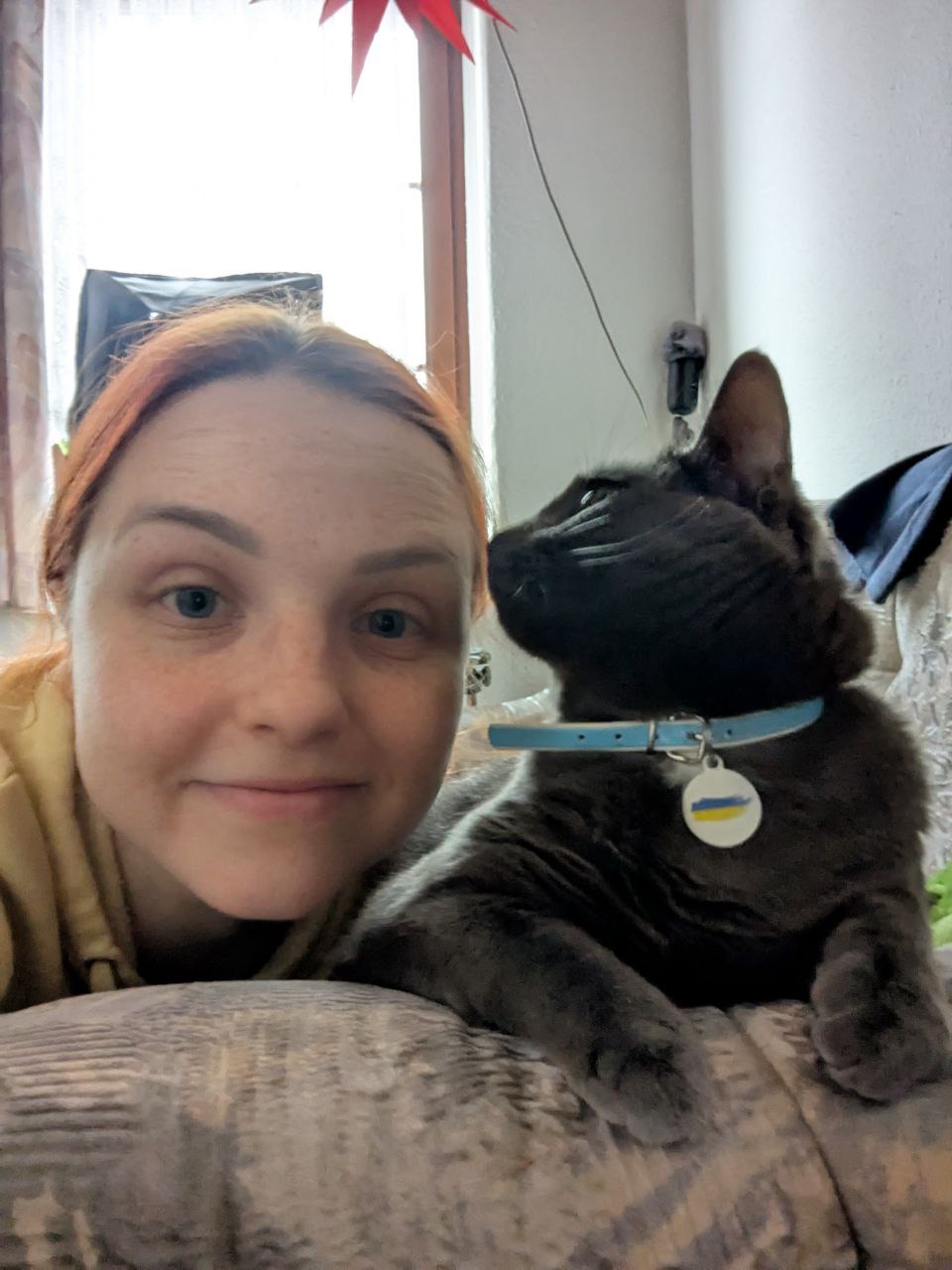 image-10