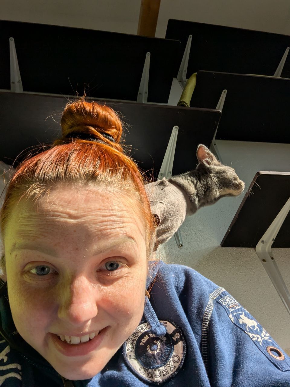 image-7