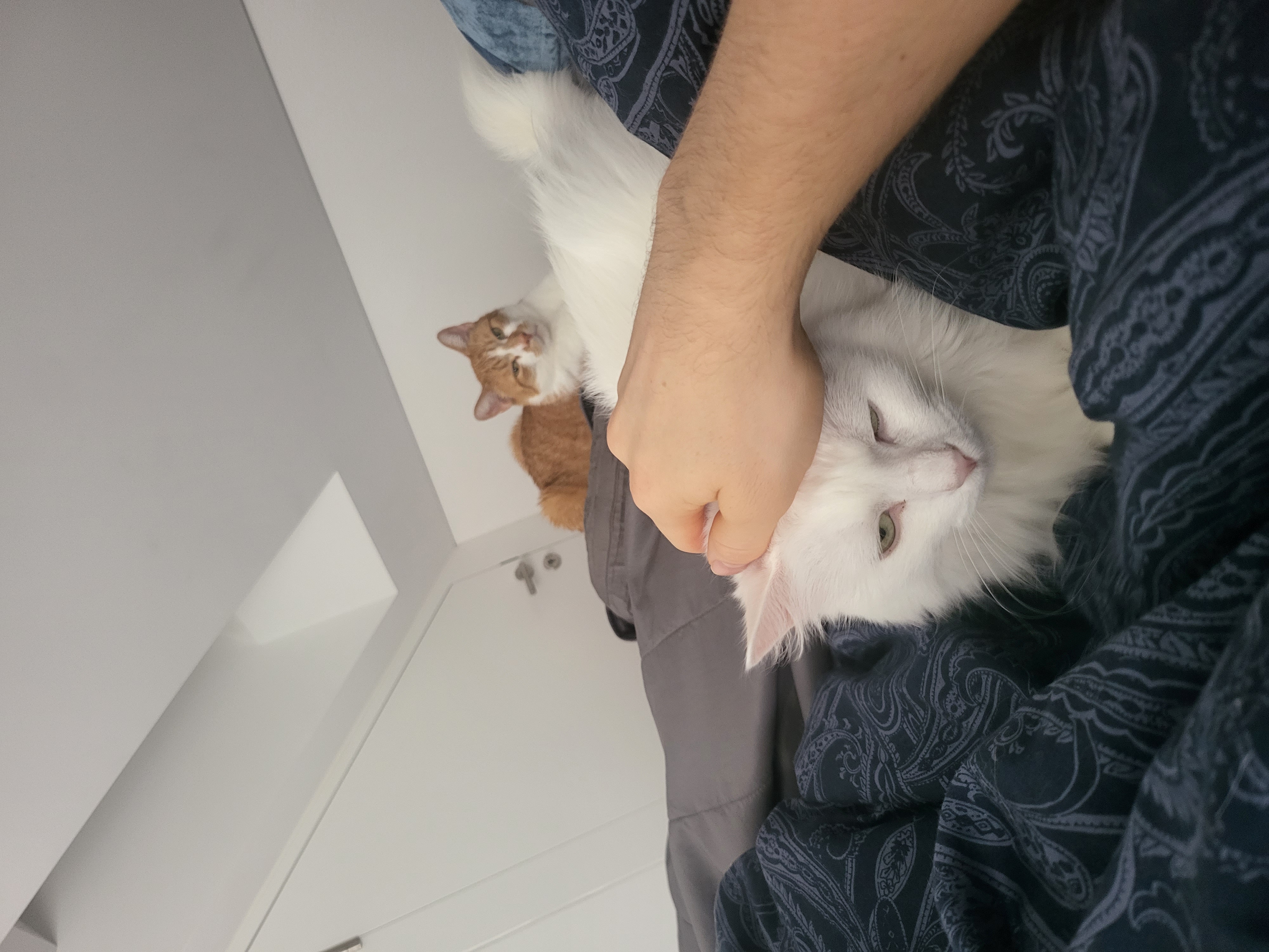 image-9