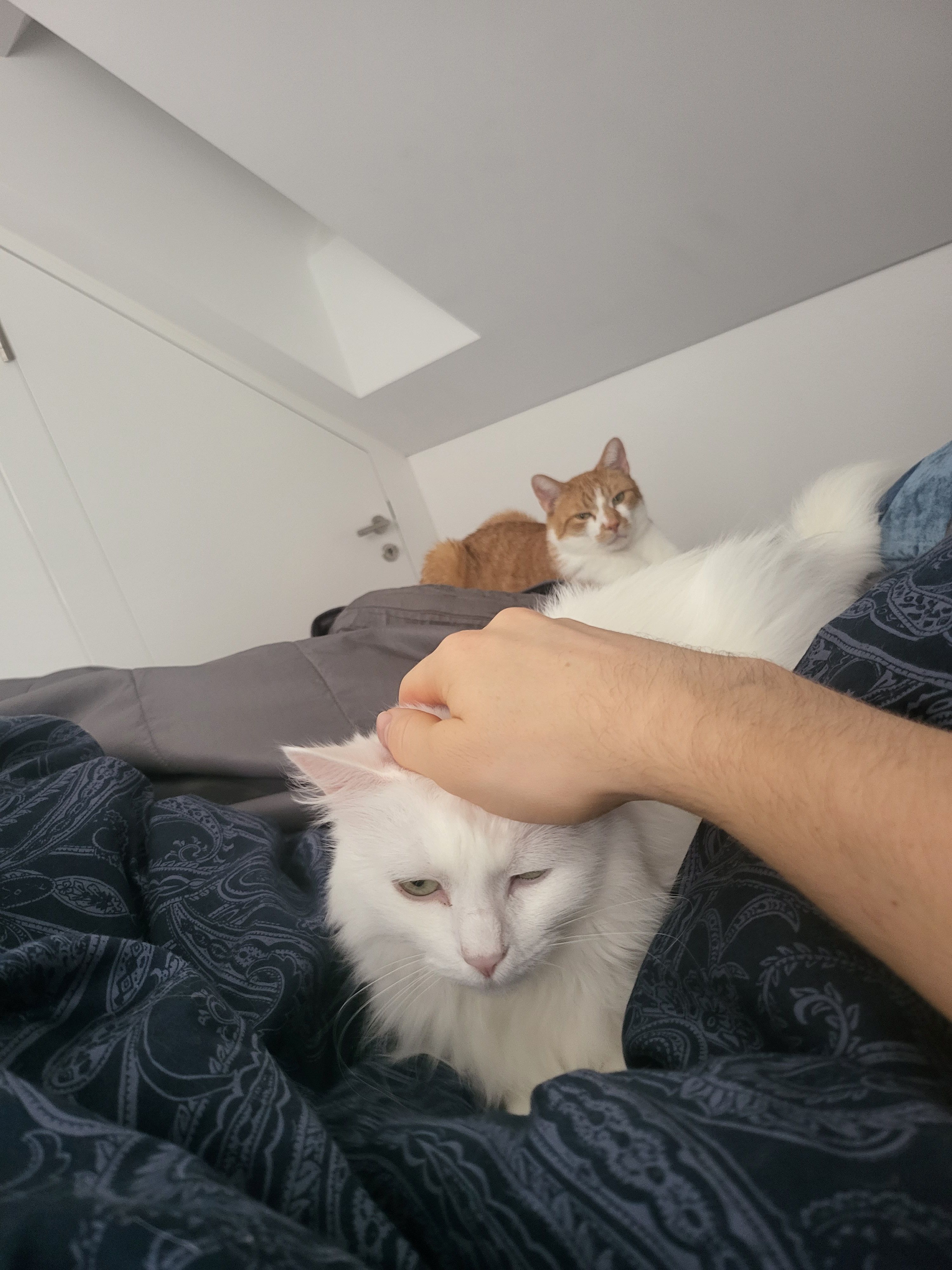 image-9