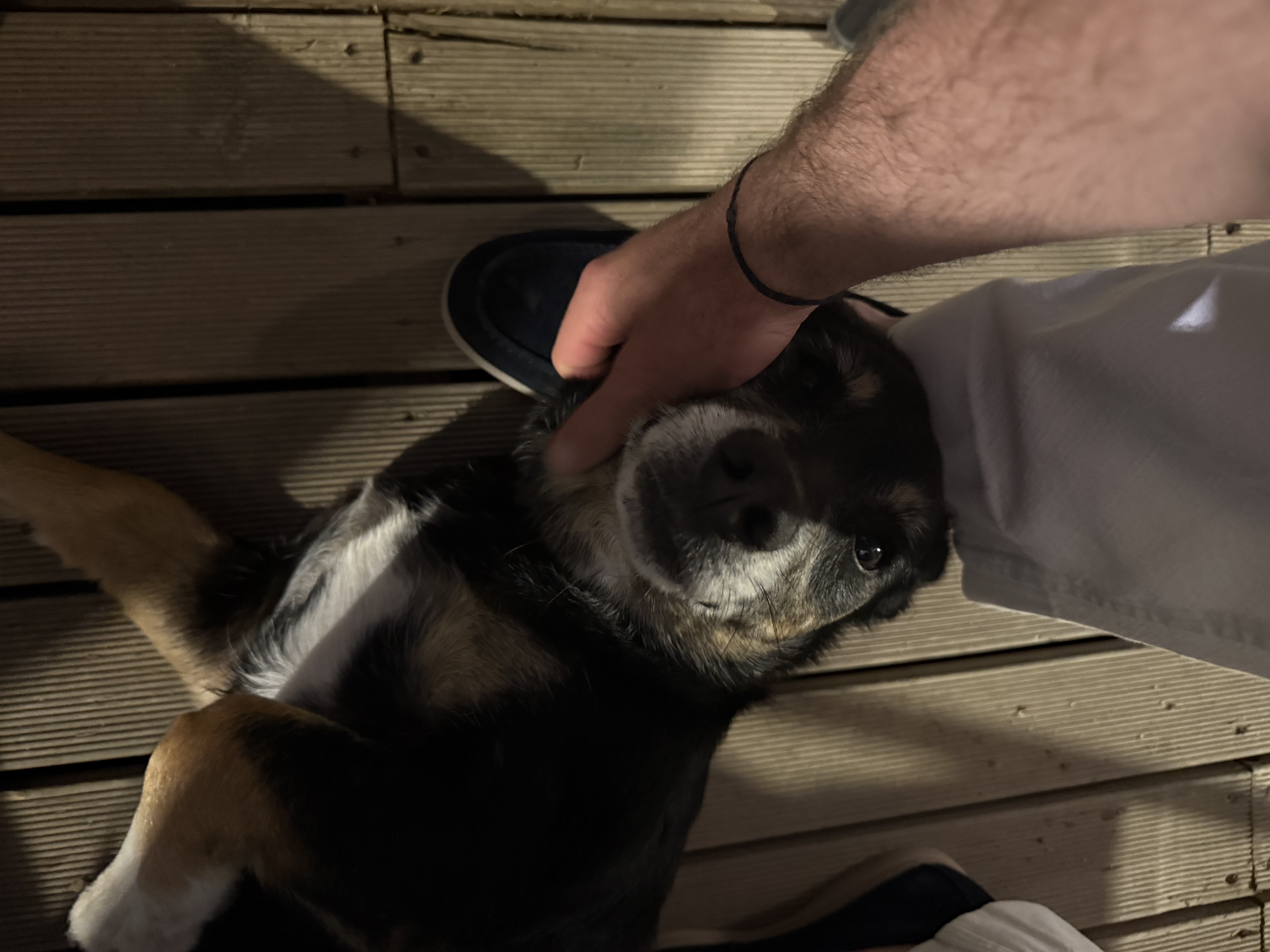 image-13