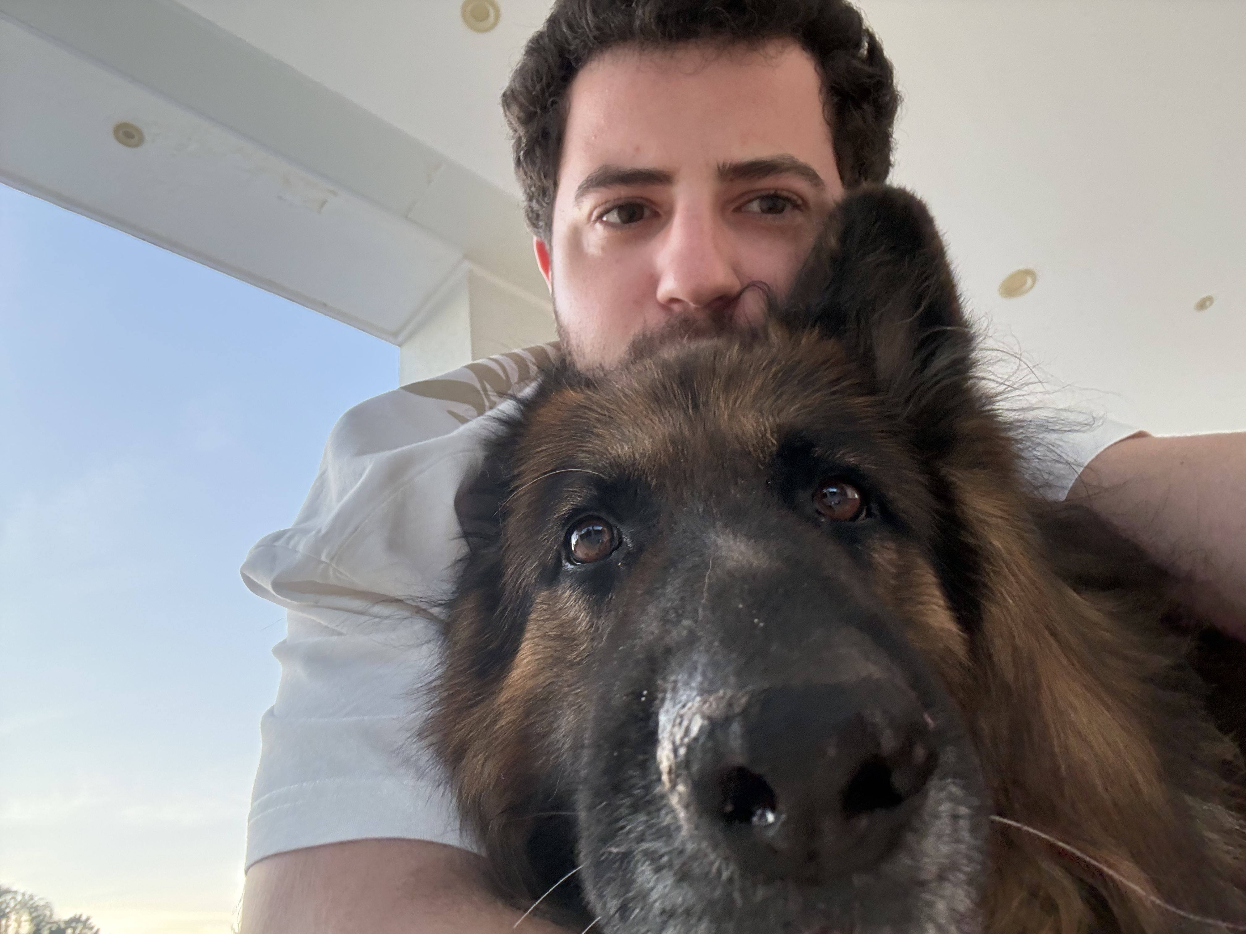 image-8