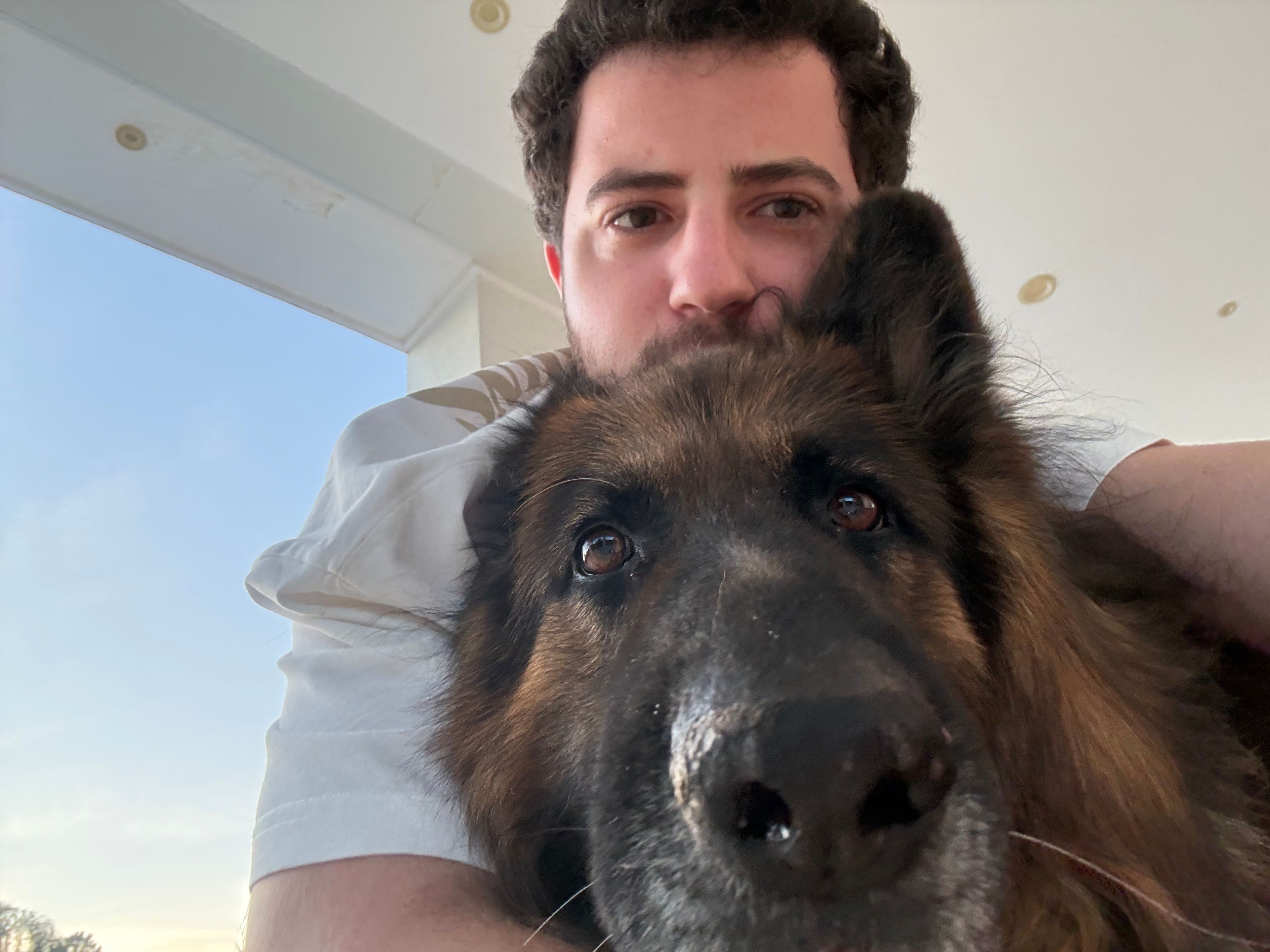 image-8