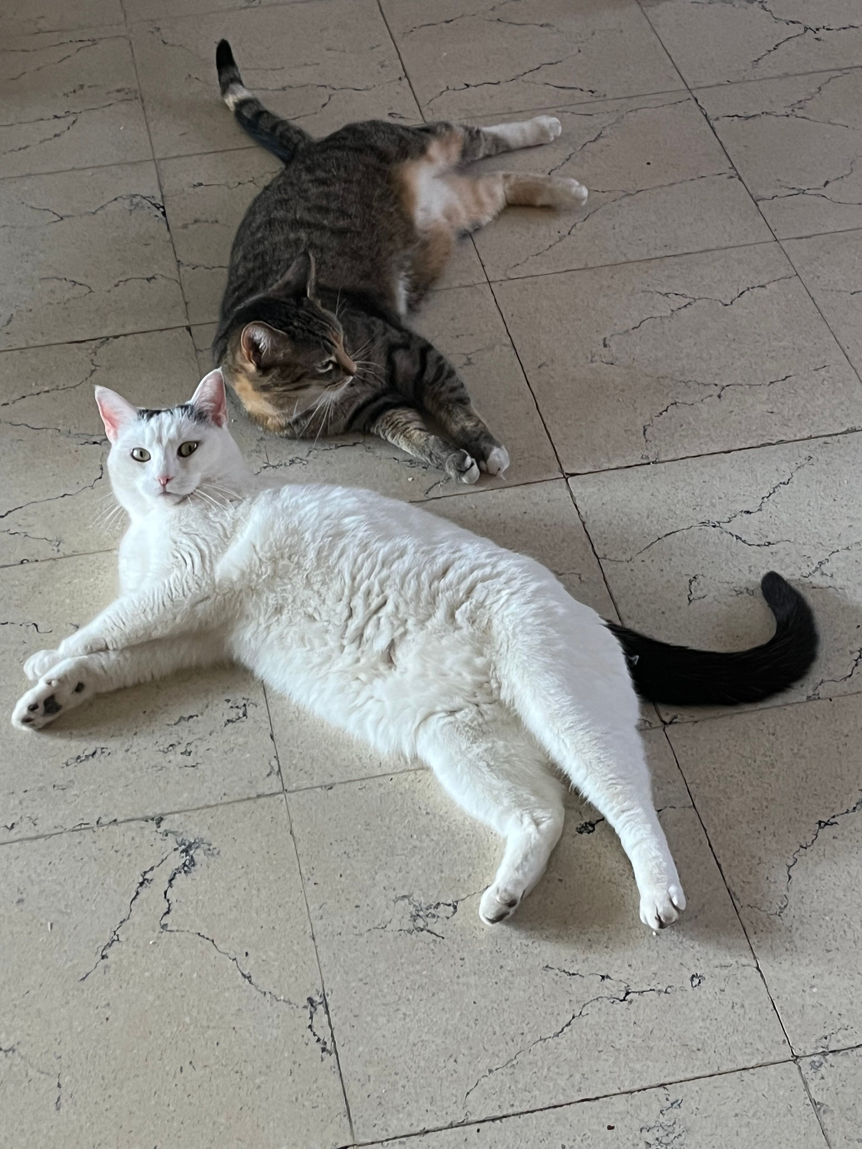 image-13