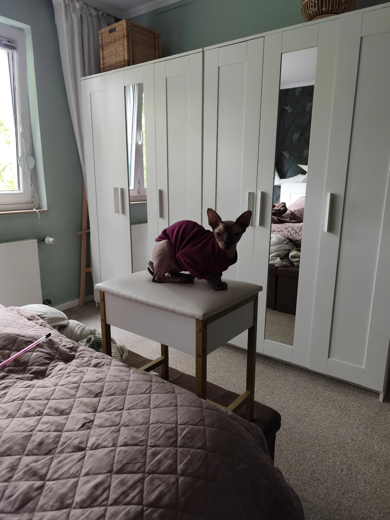 image-11