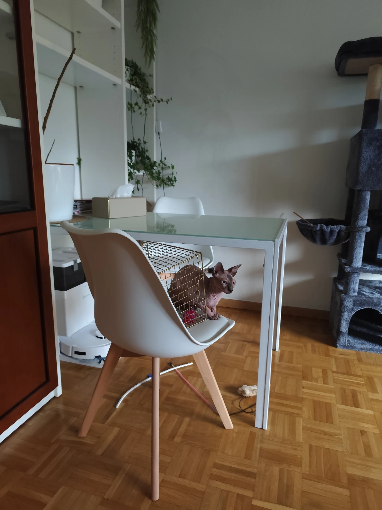 image-12