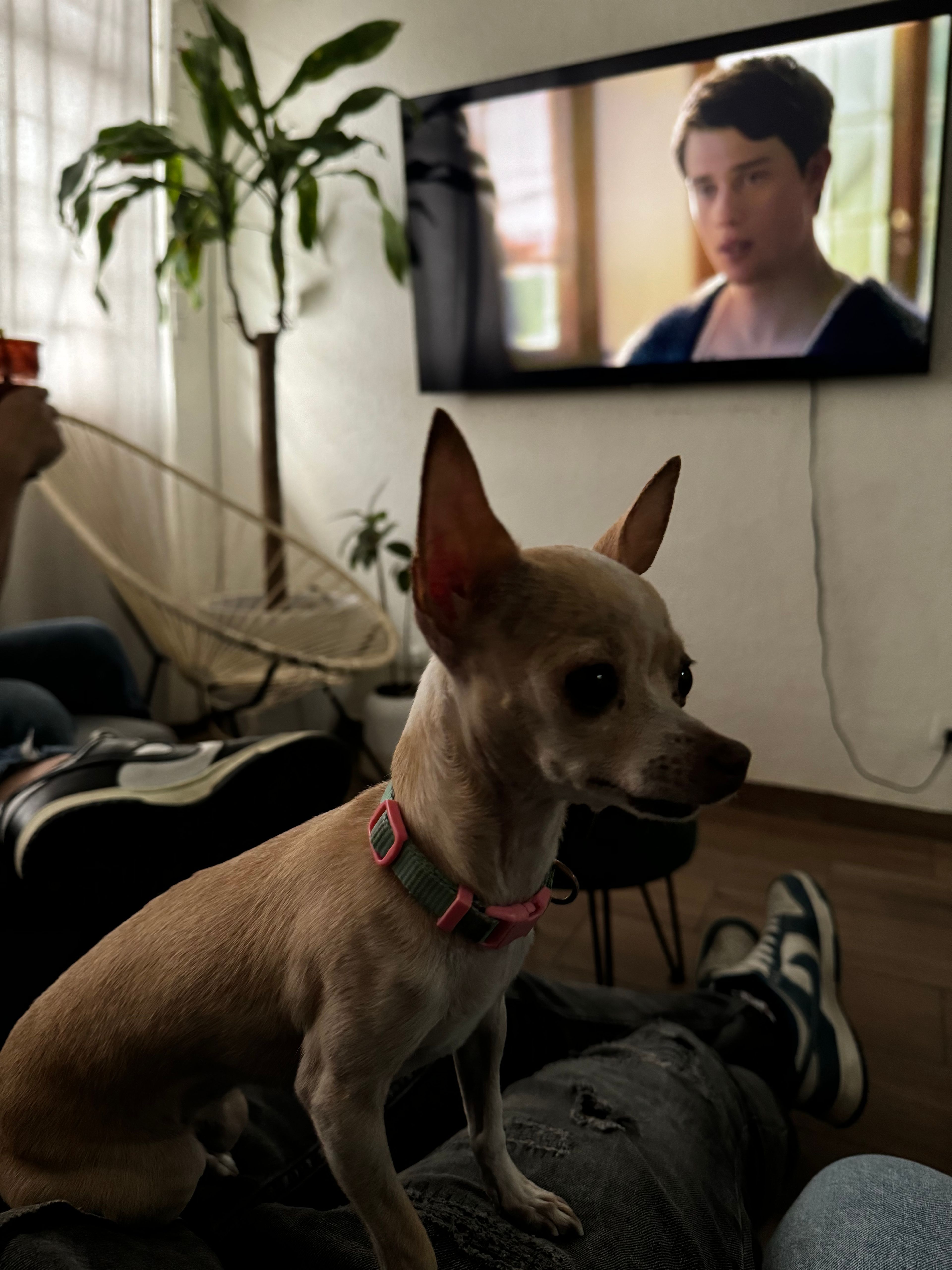 image-16