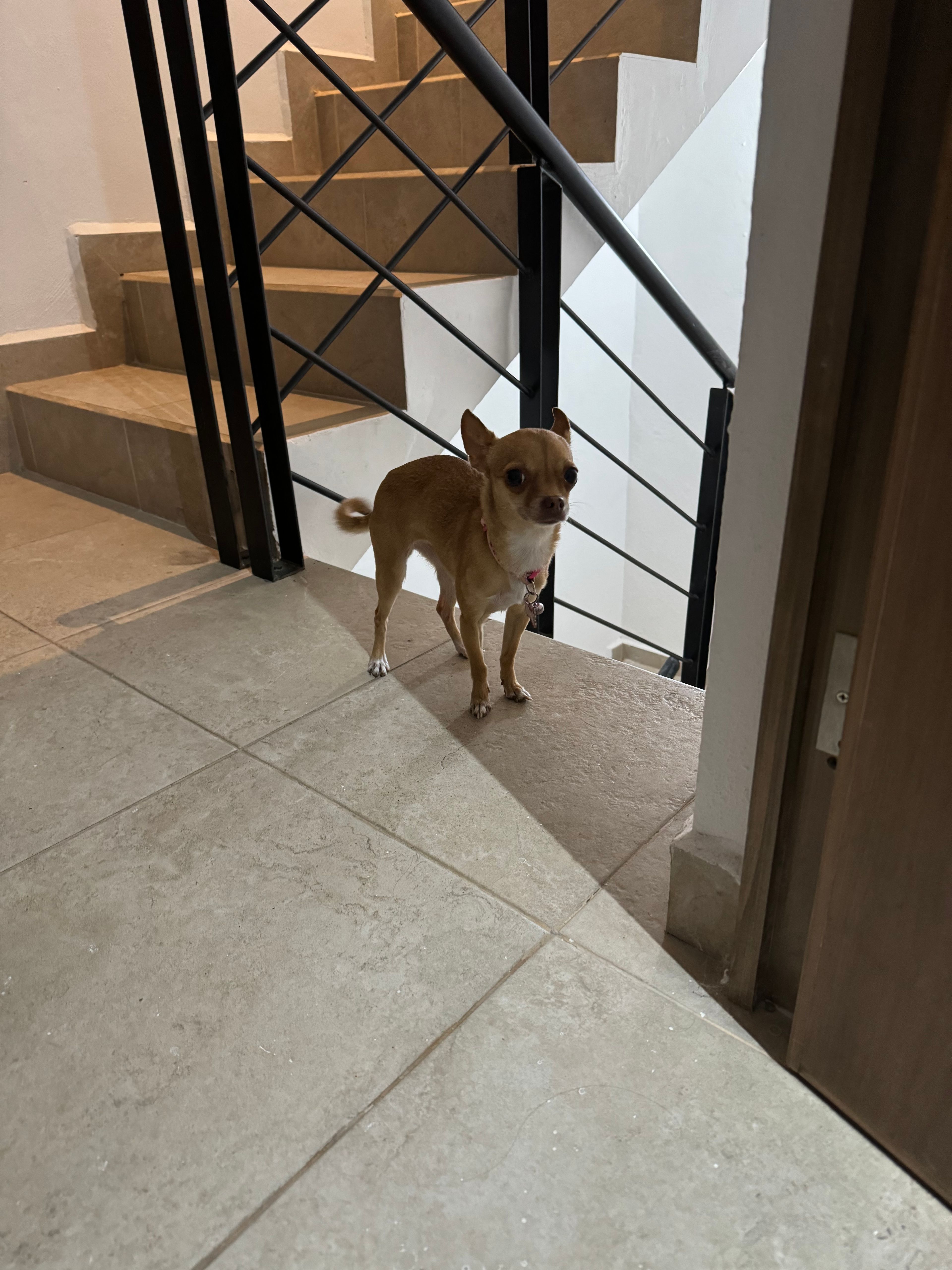 image-15