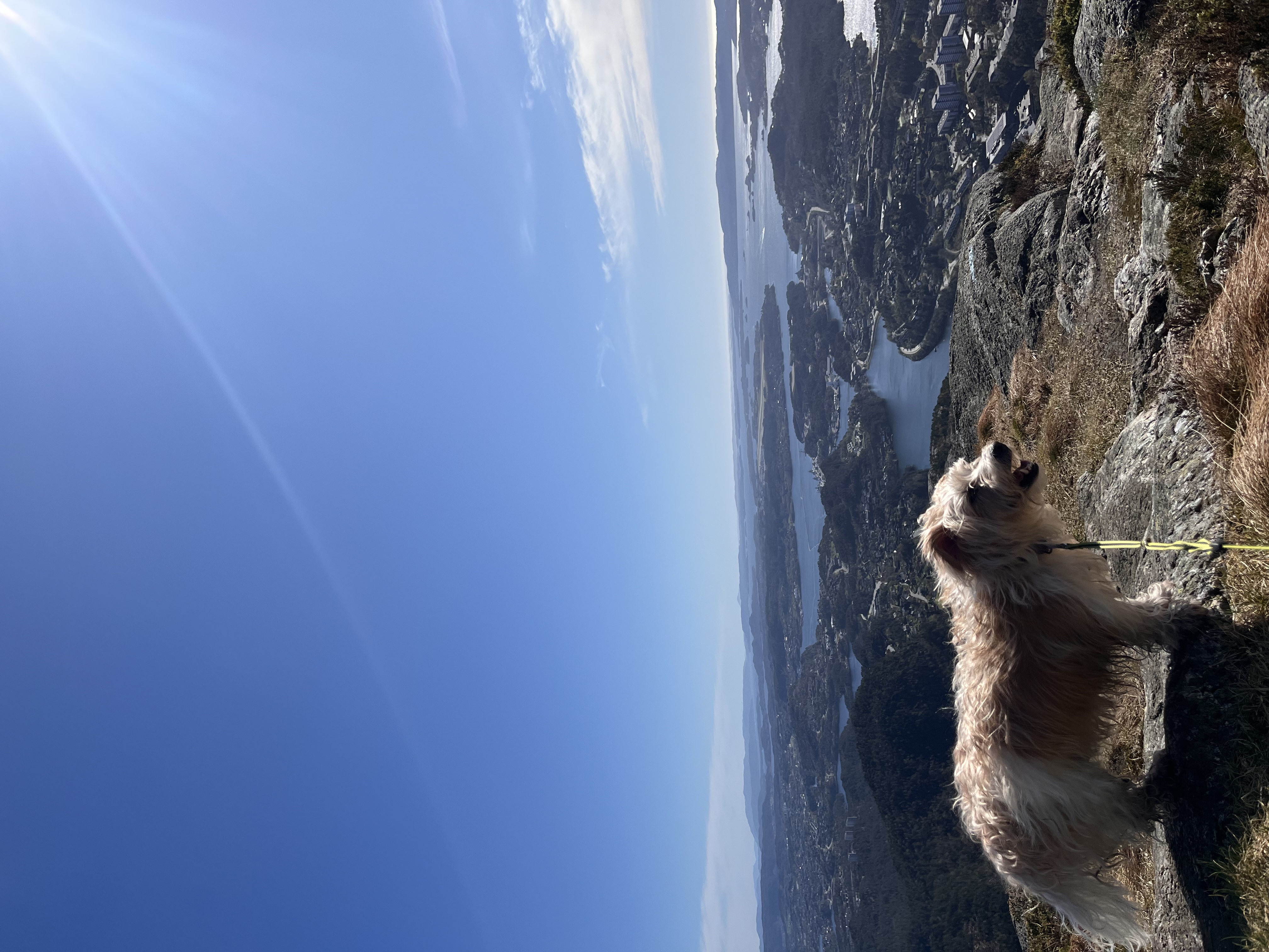 image-6