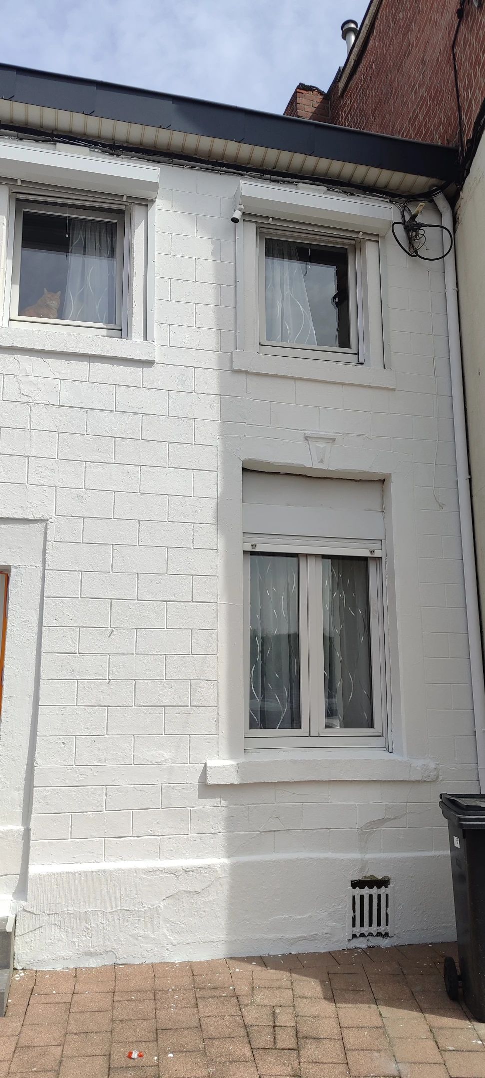 image-7