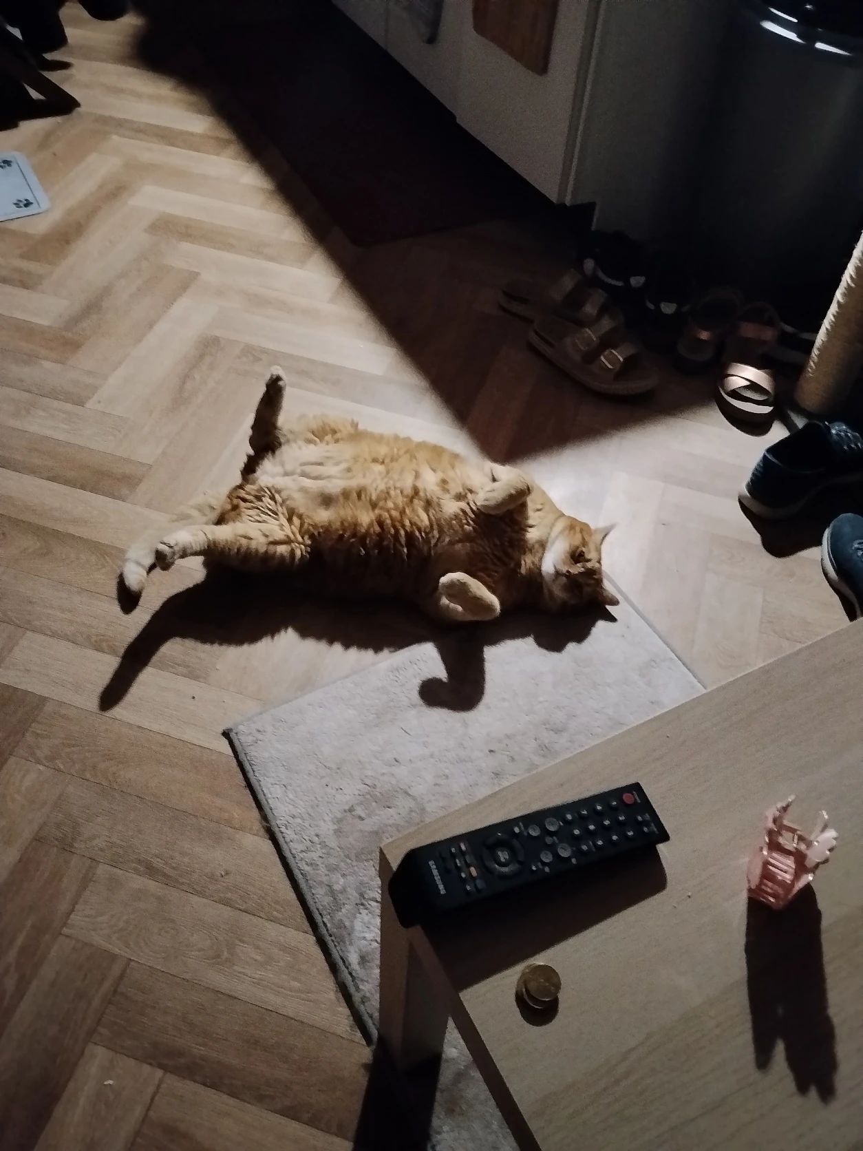 image-9
