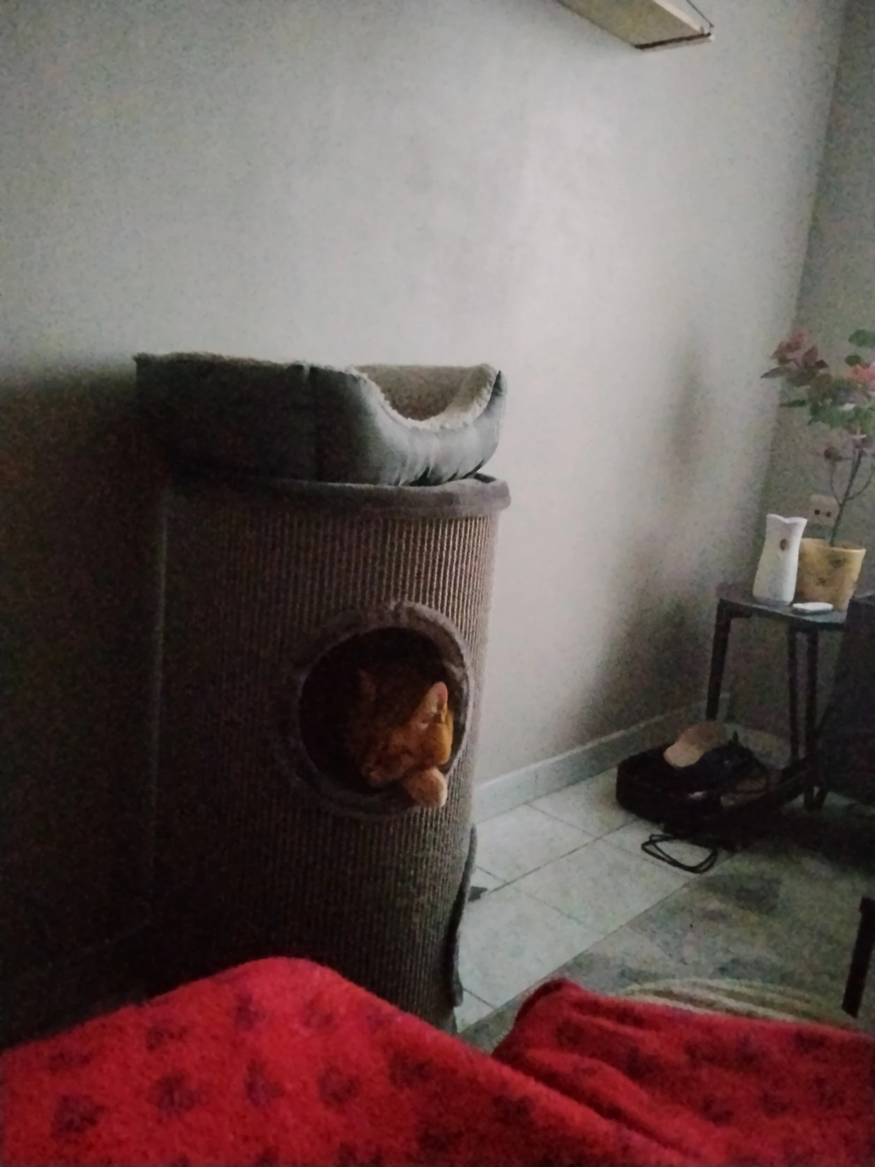 image-6