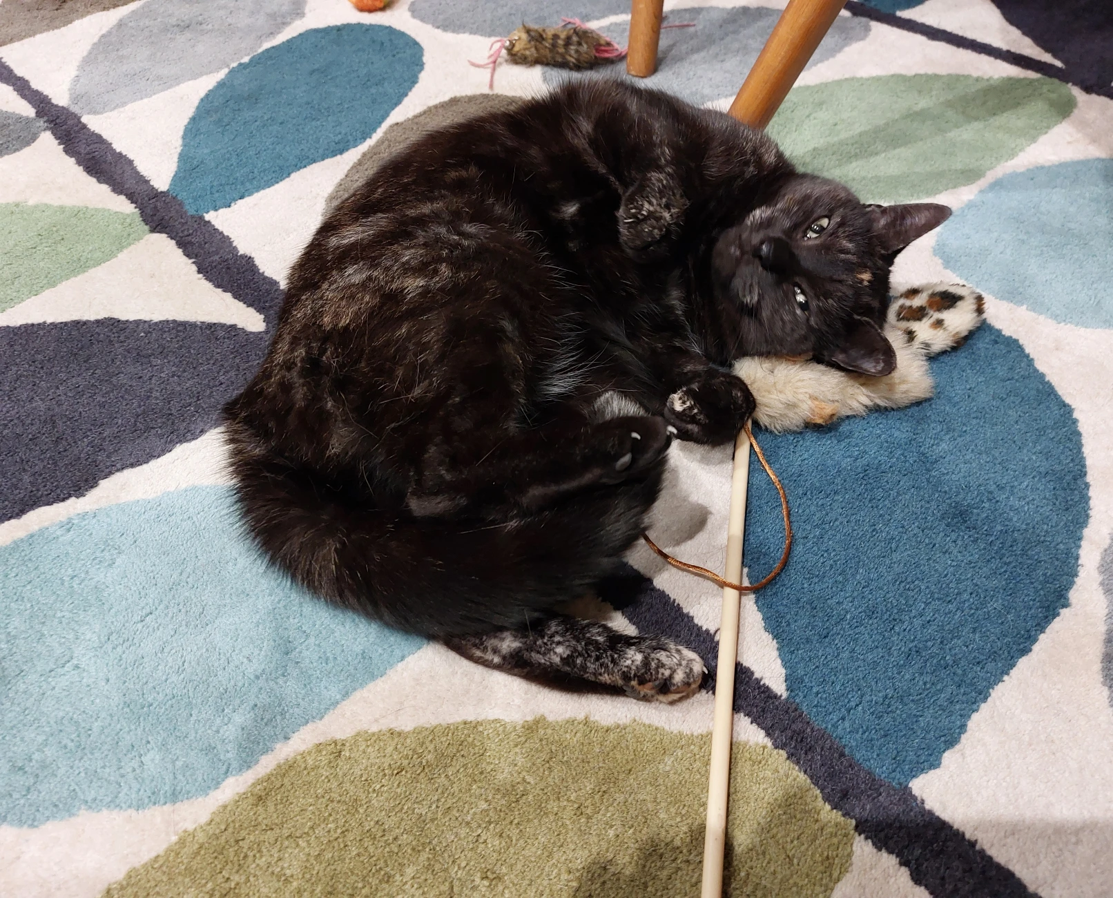 image-7