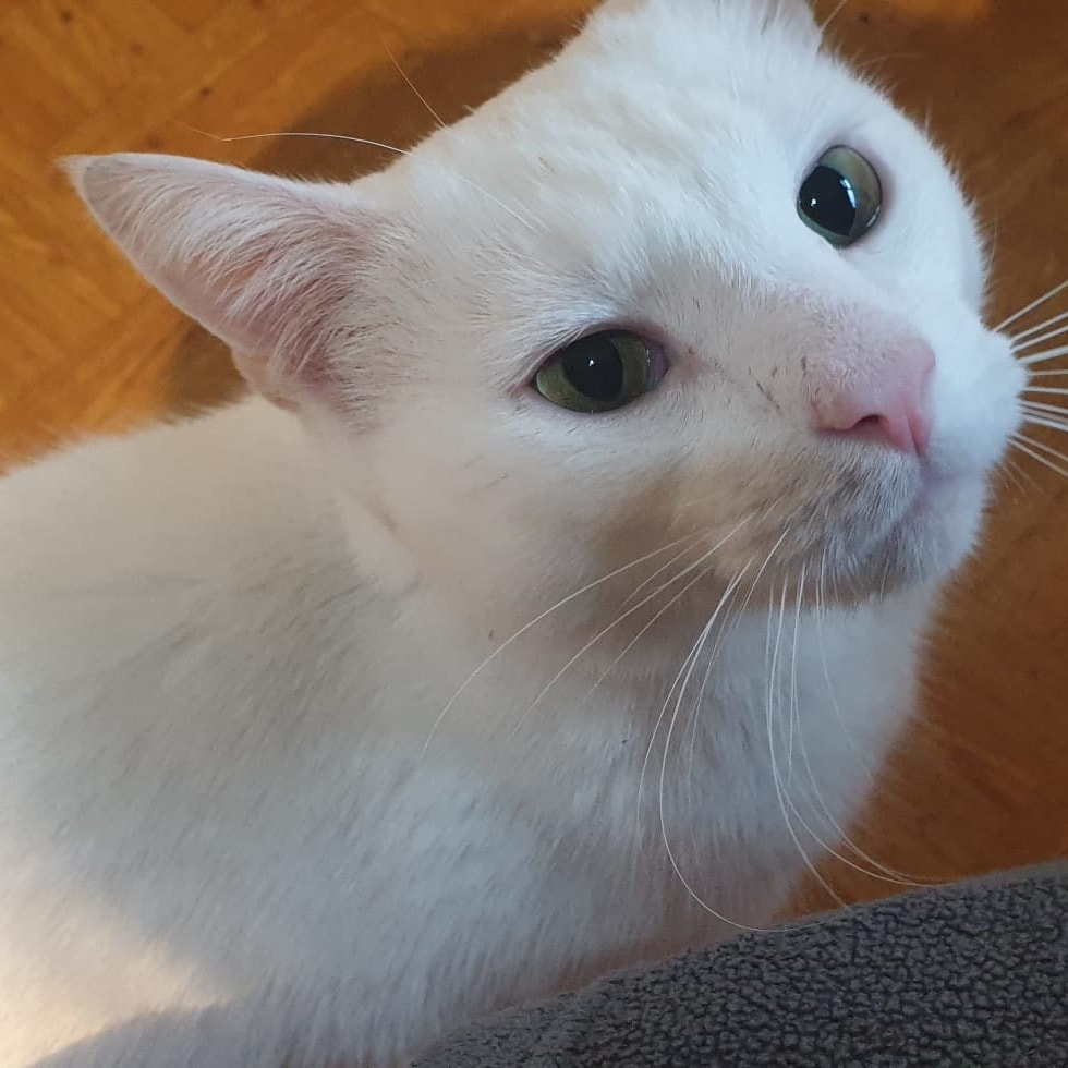 Jinx