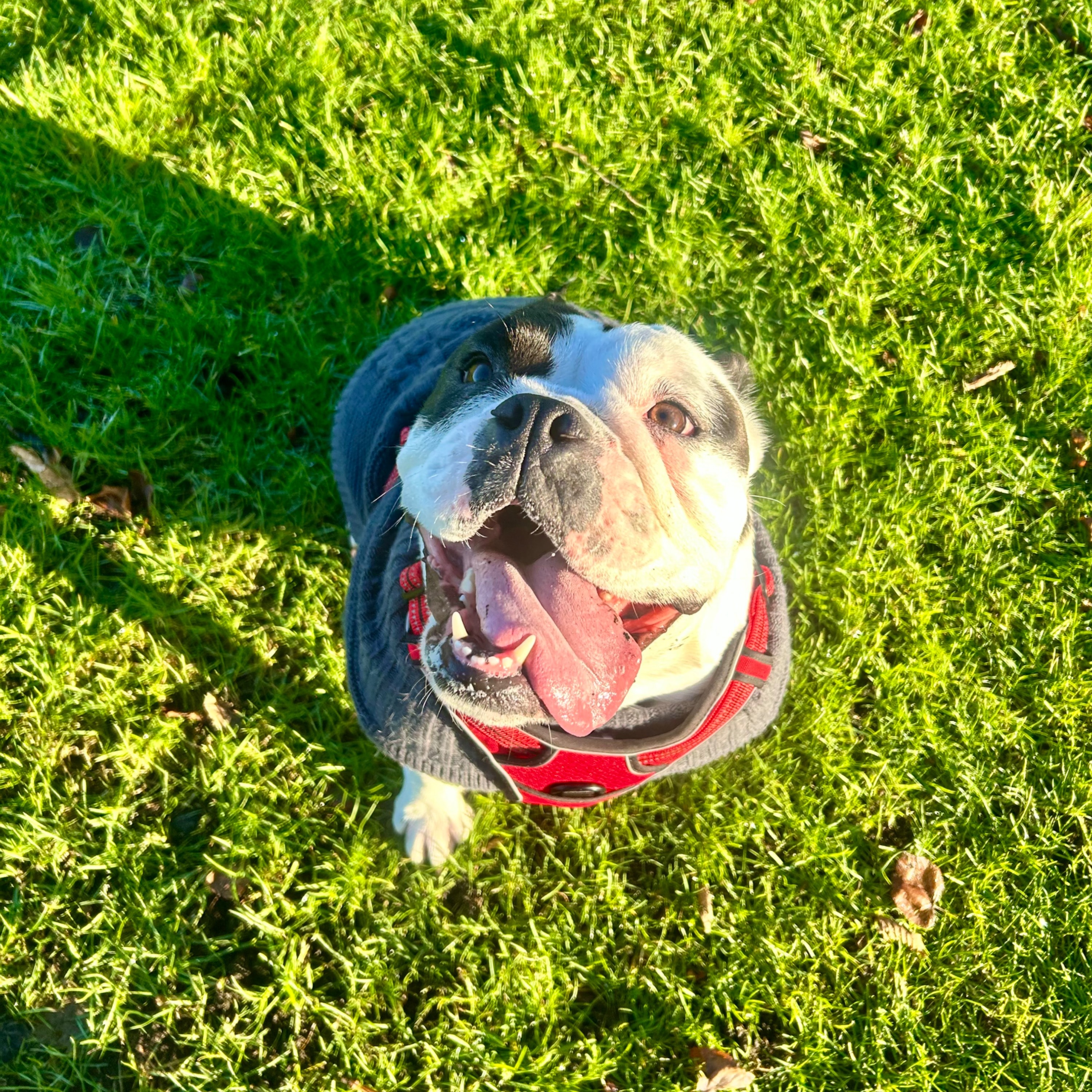 Luna