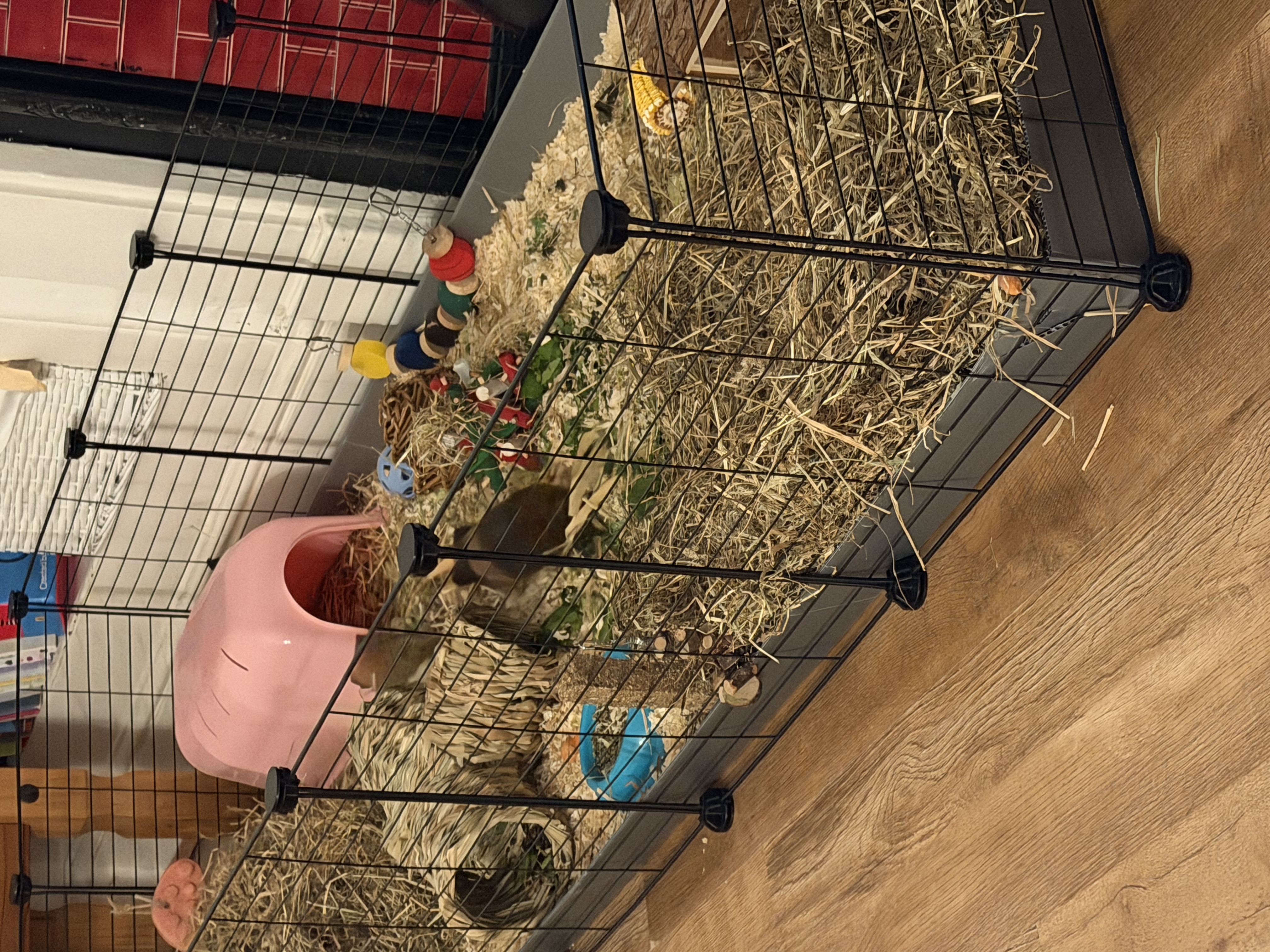 image-15