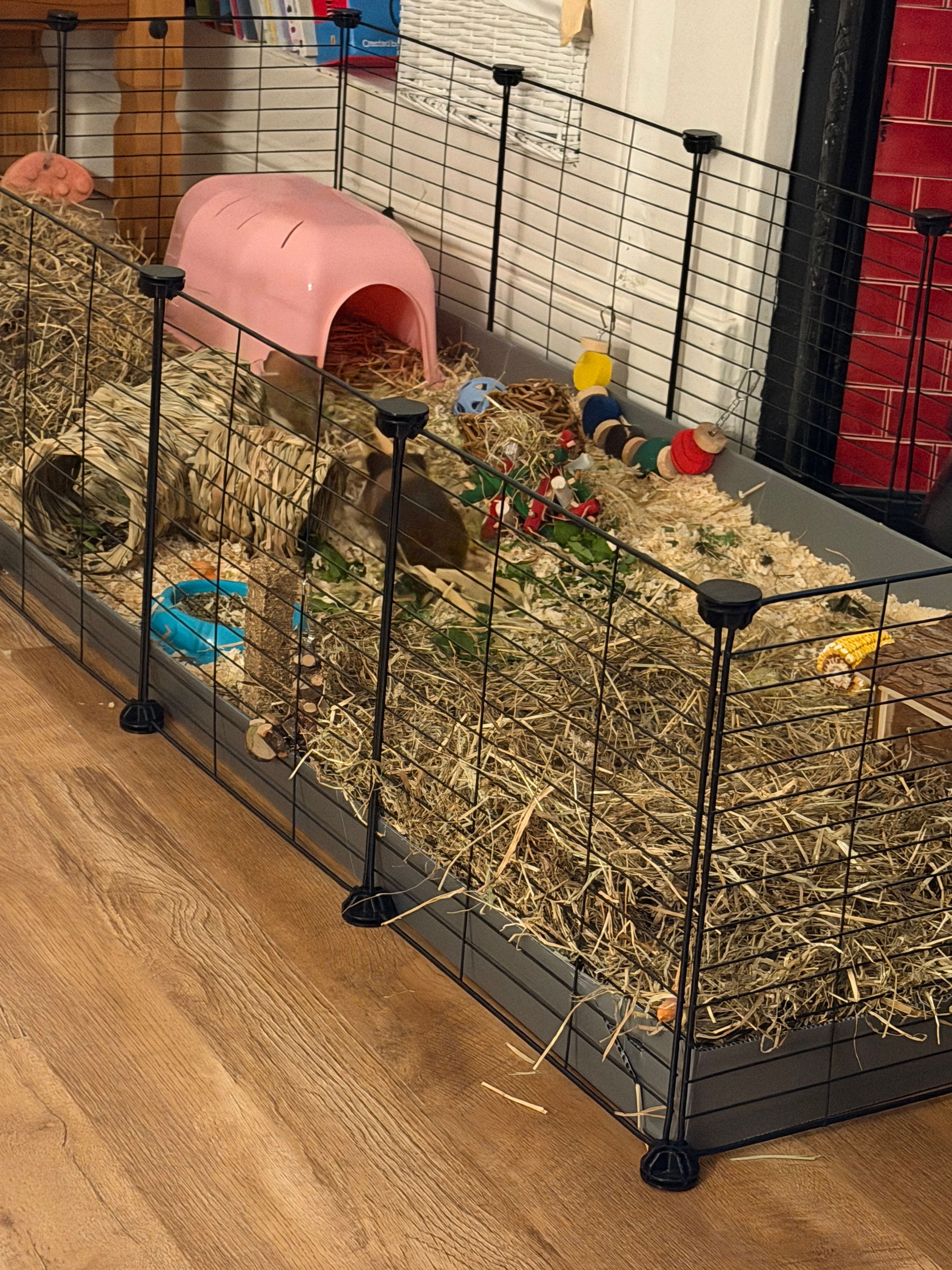 image-15
