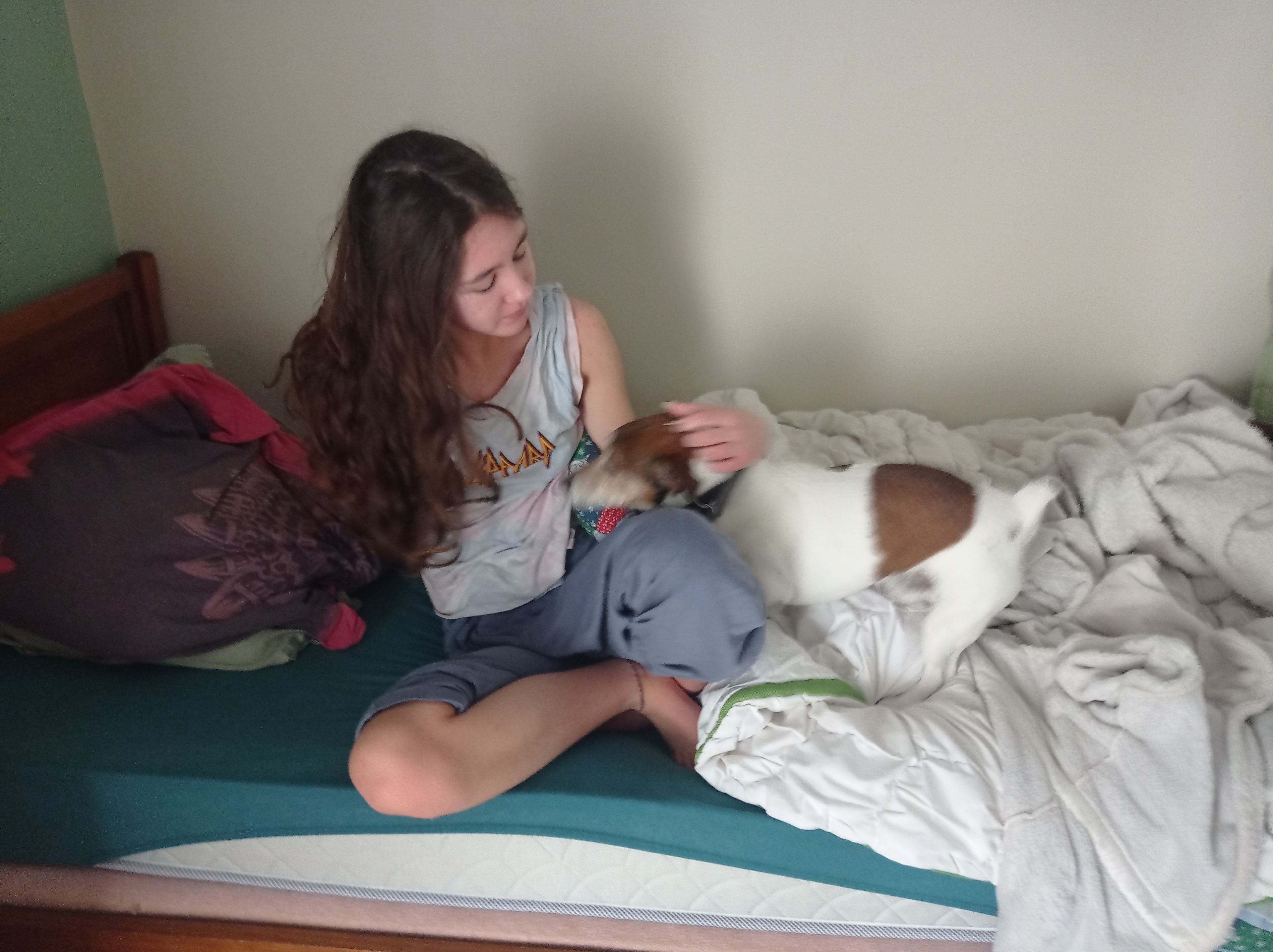 image-7