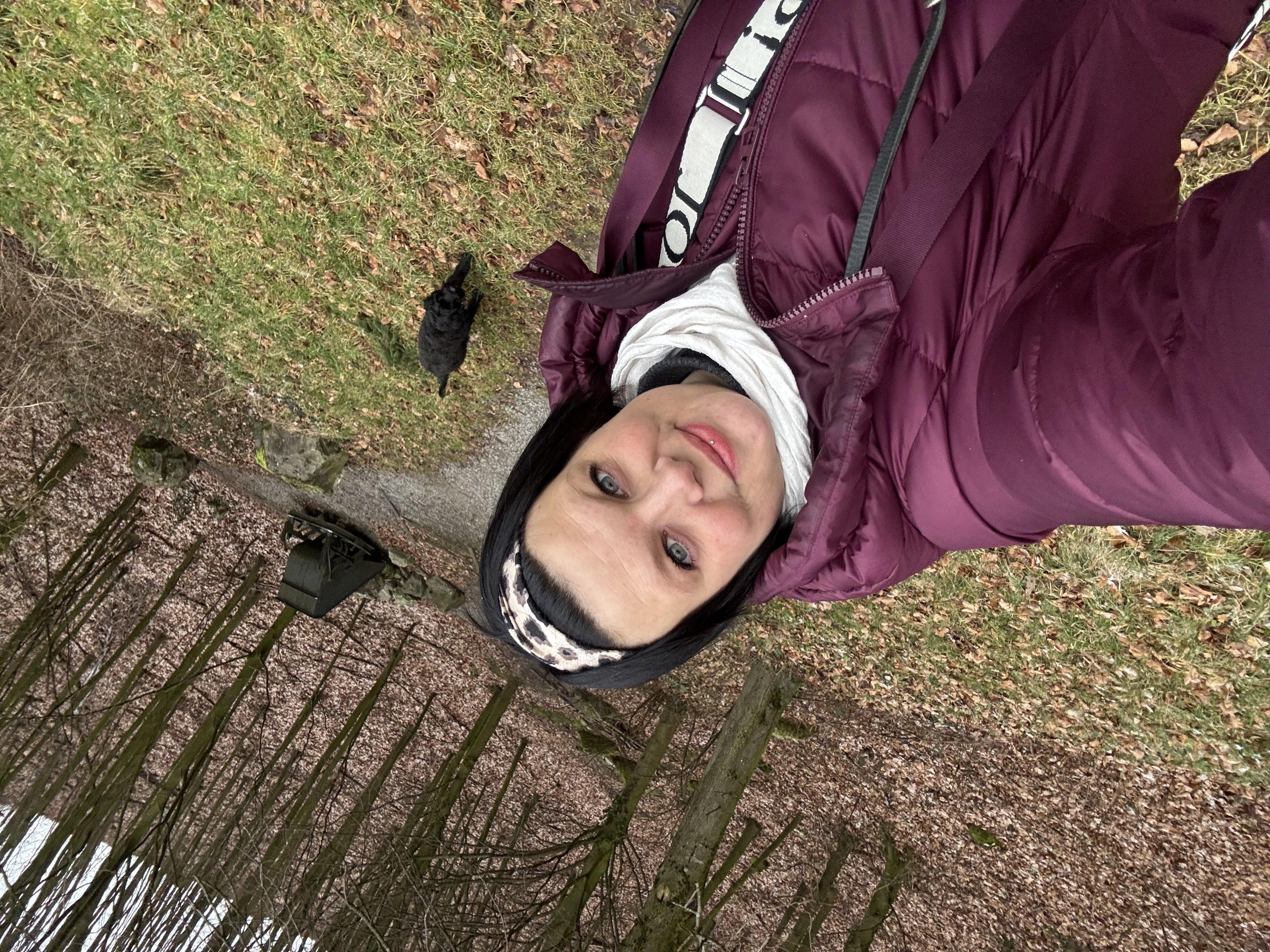 image-13