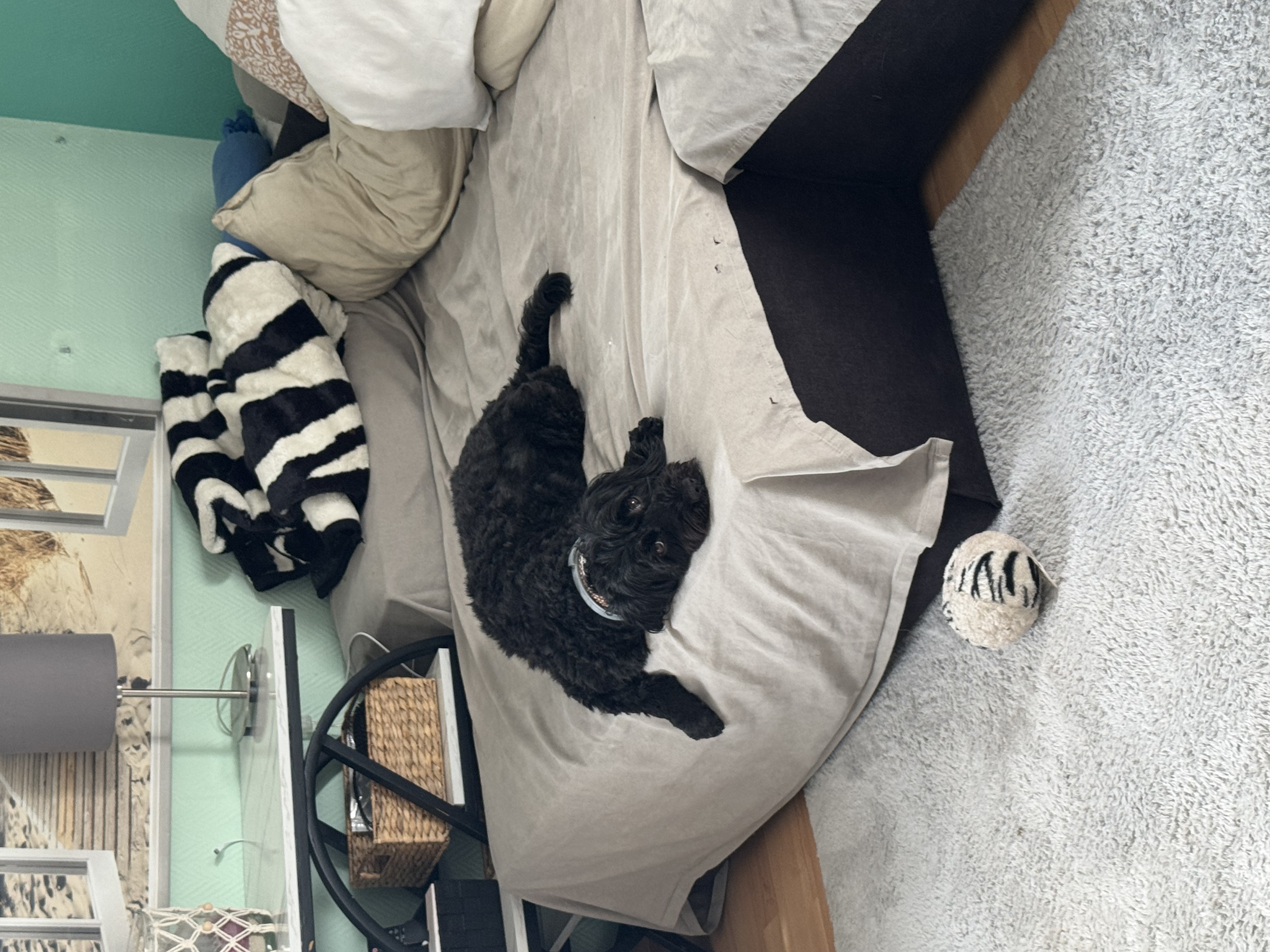 image-8