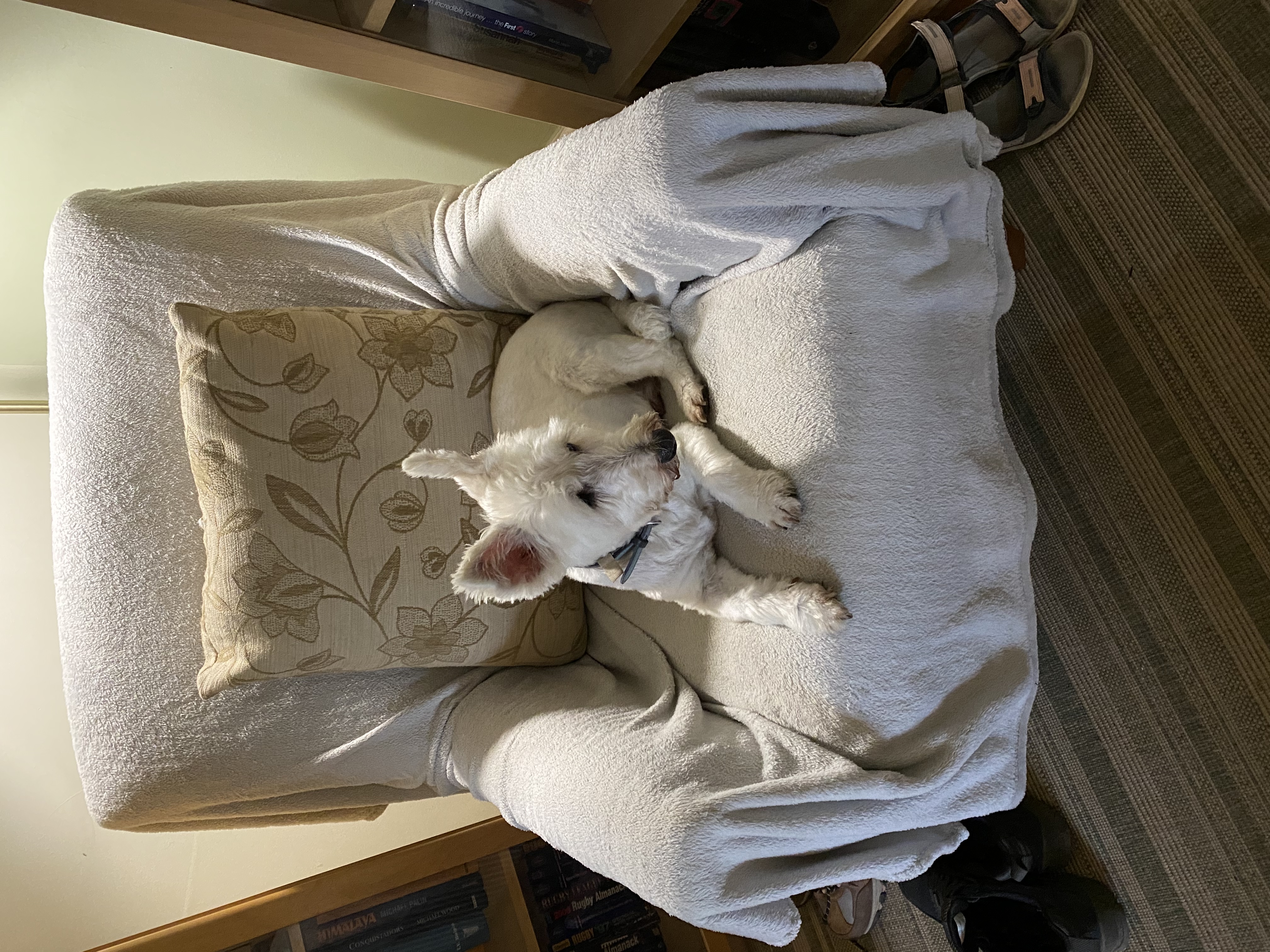 image-15