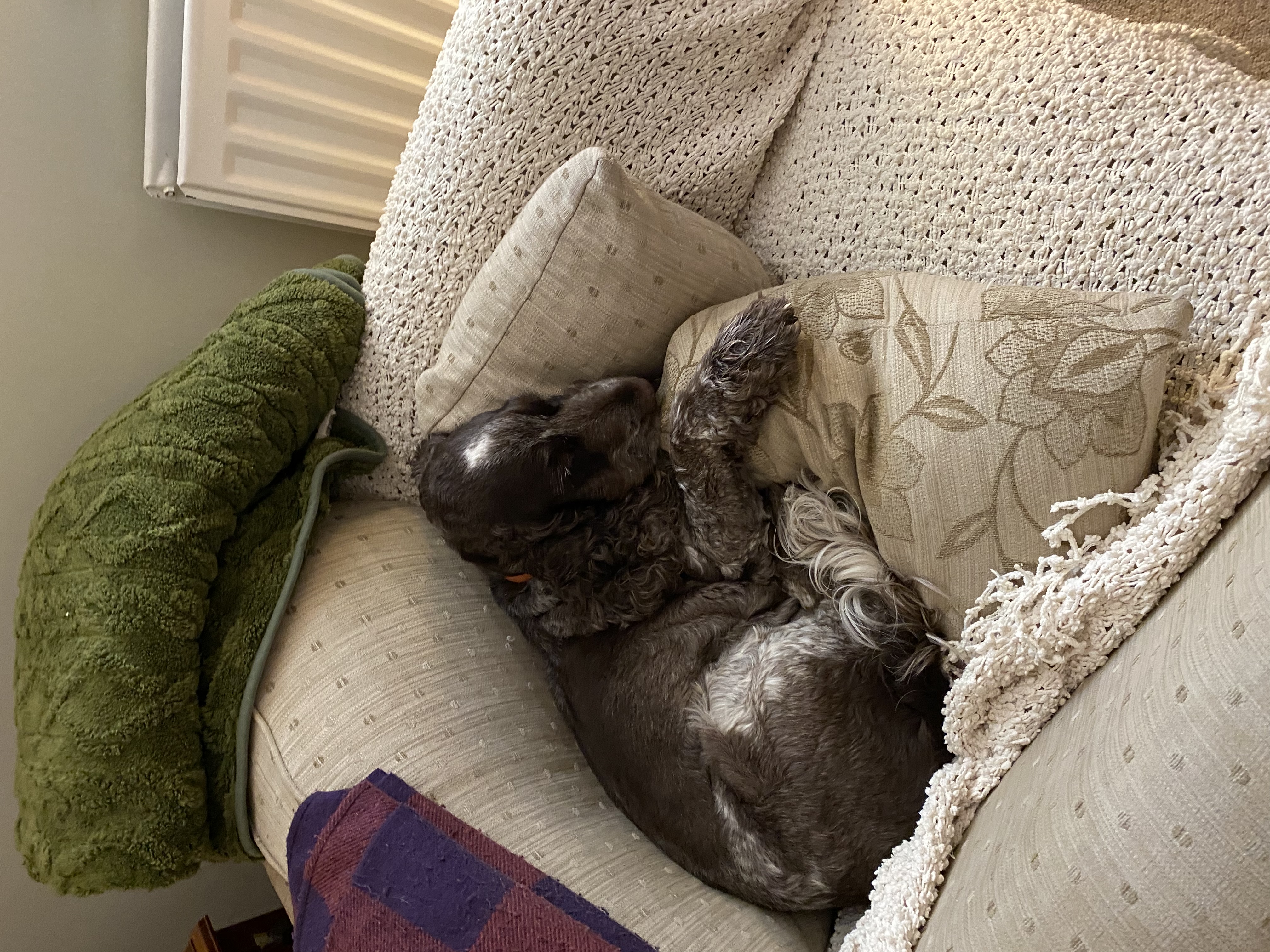 image-11