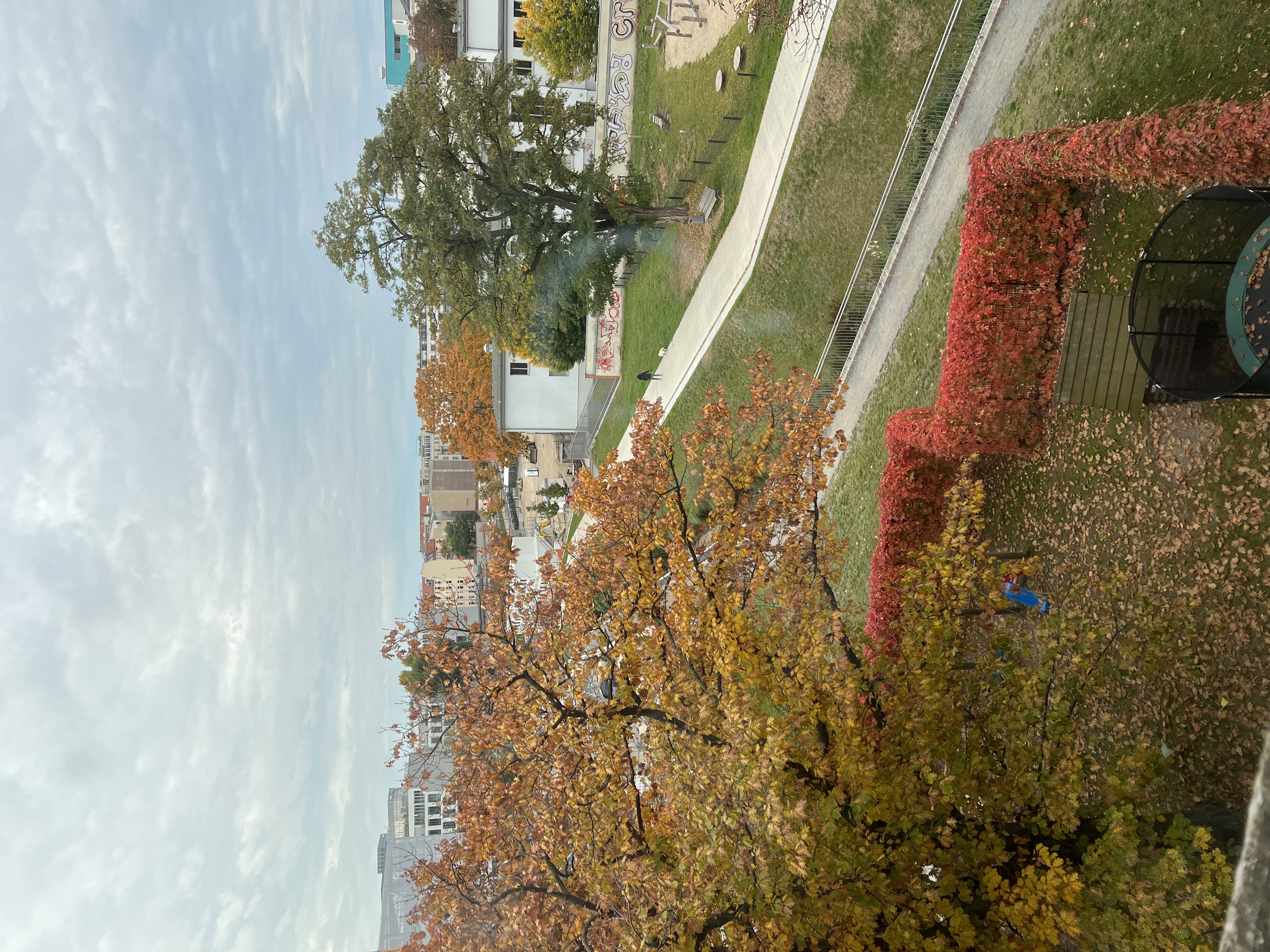 image-14