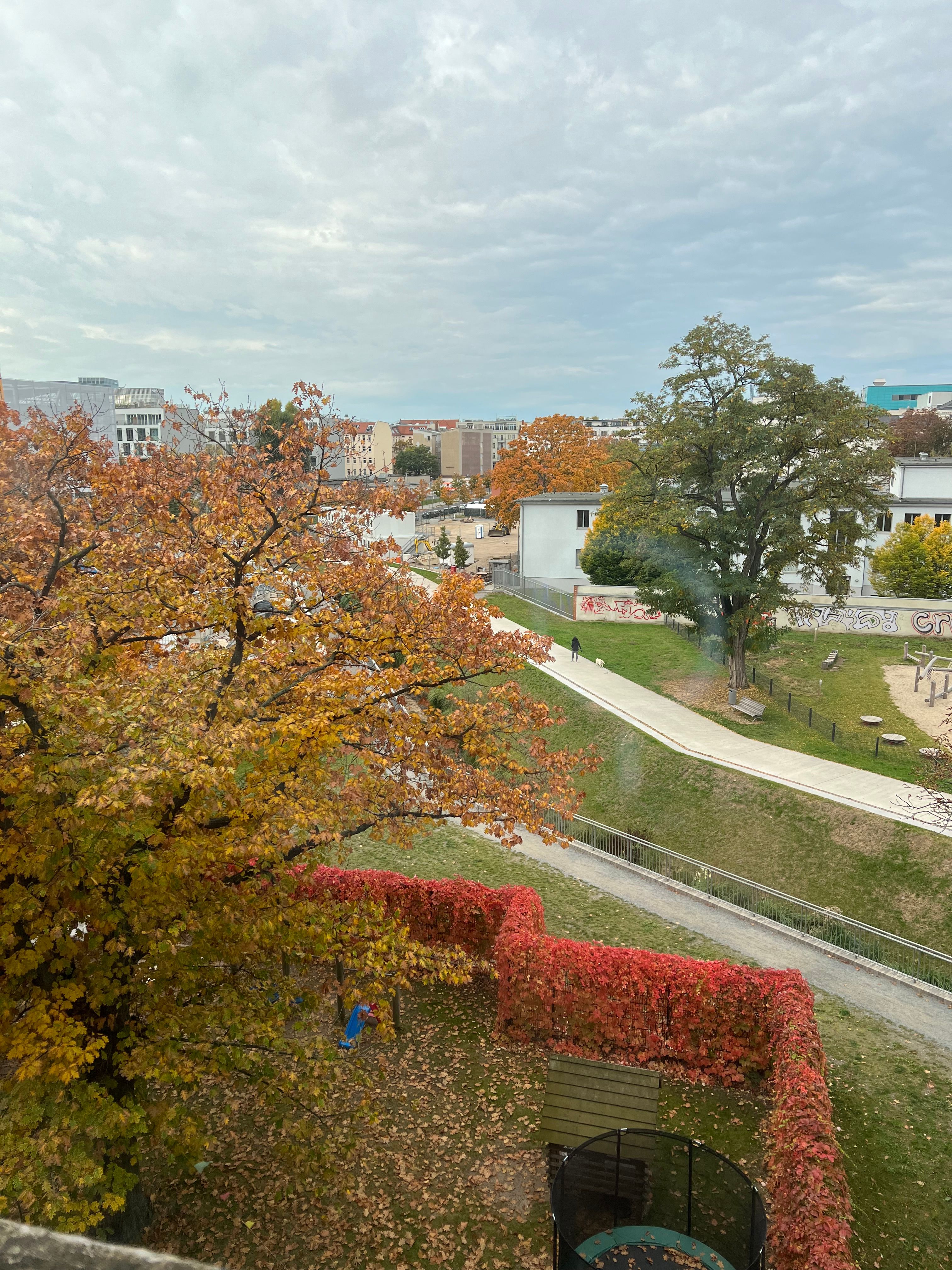image-14