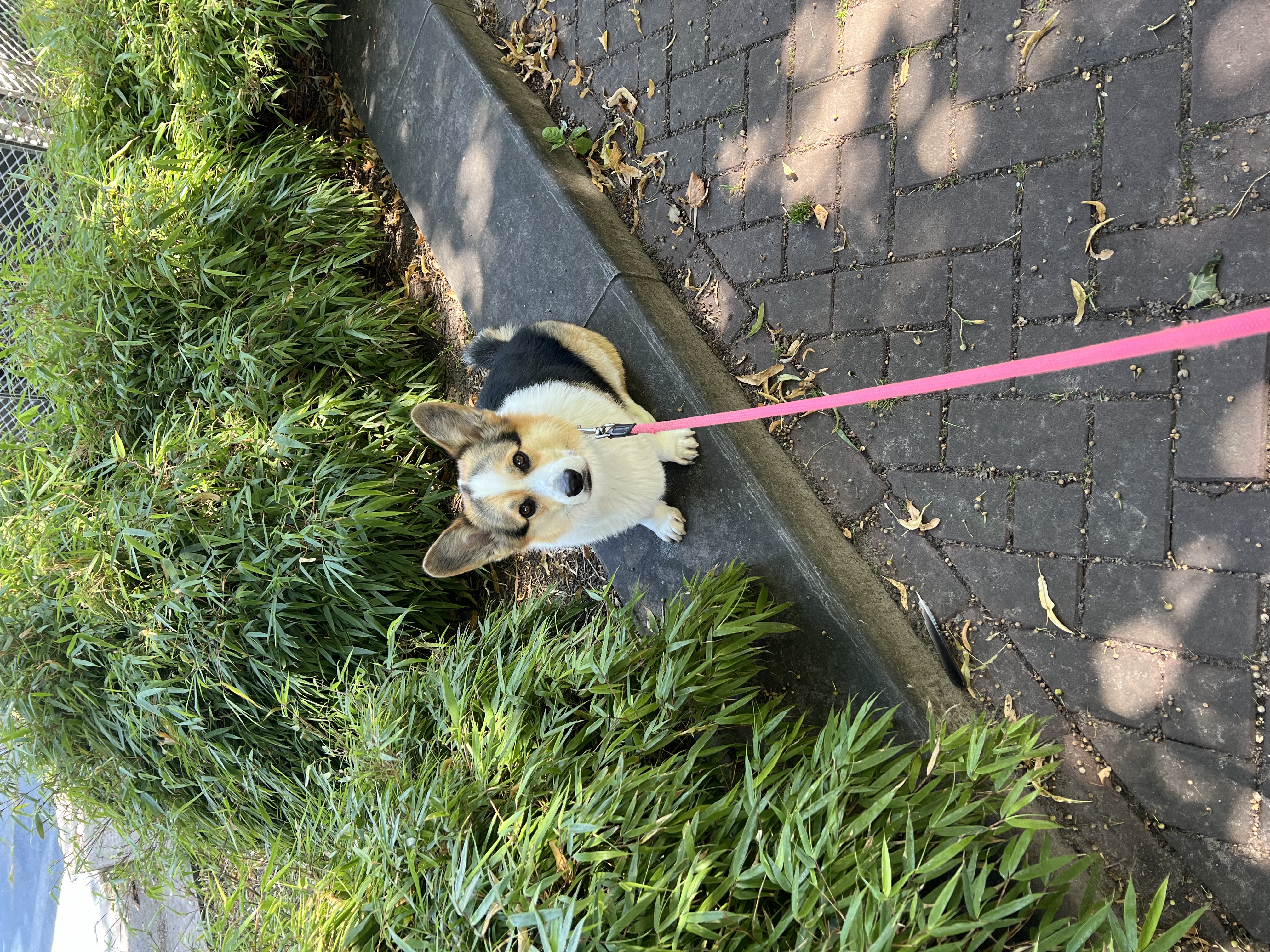 image-6