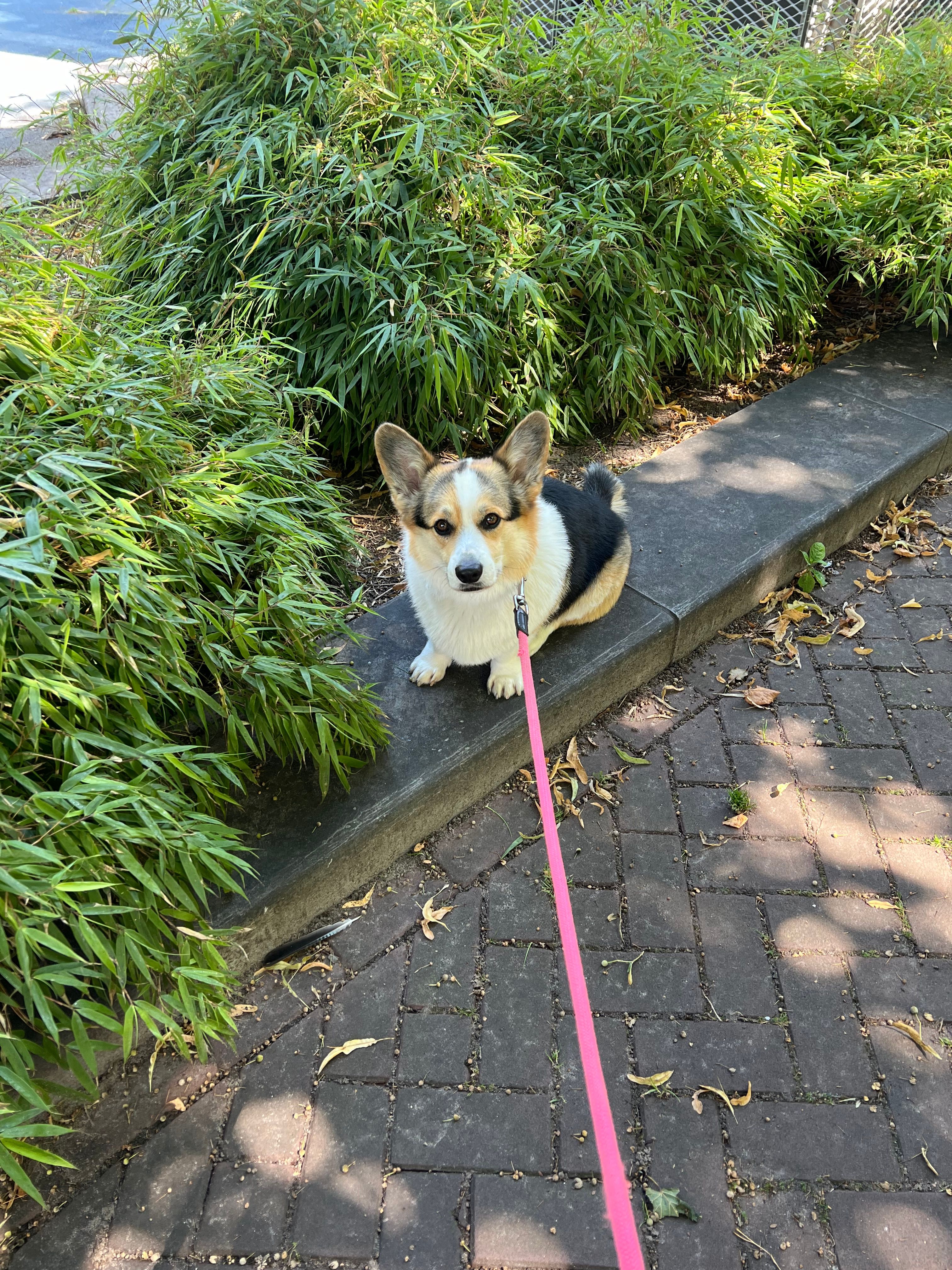 image-6