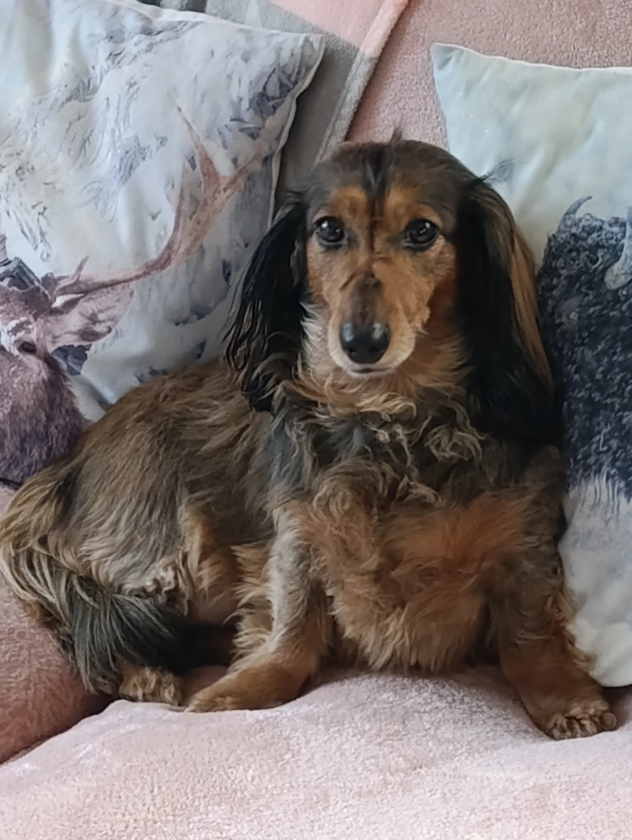 image-5