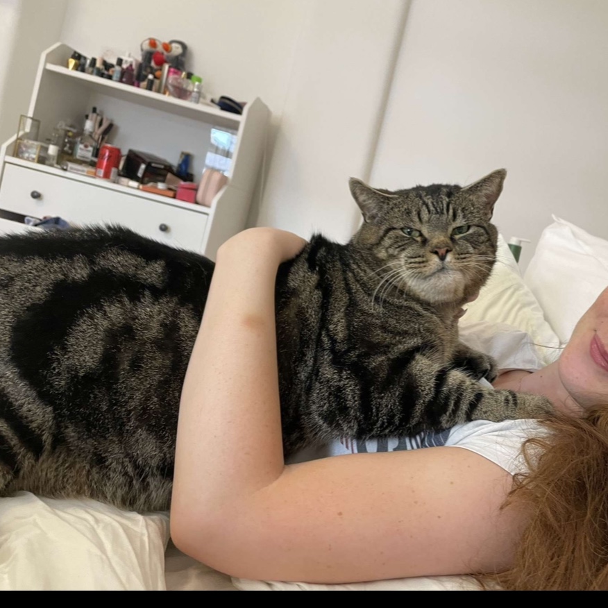 Kitty