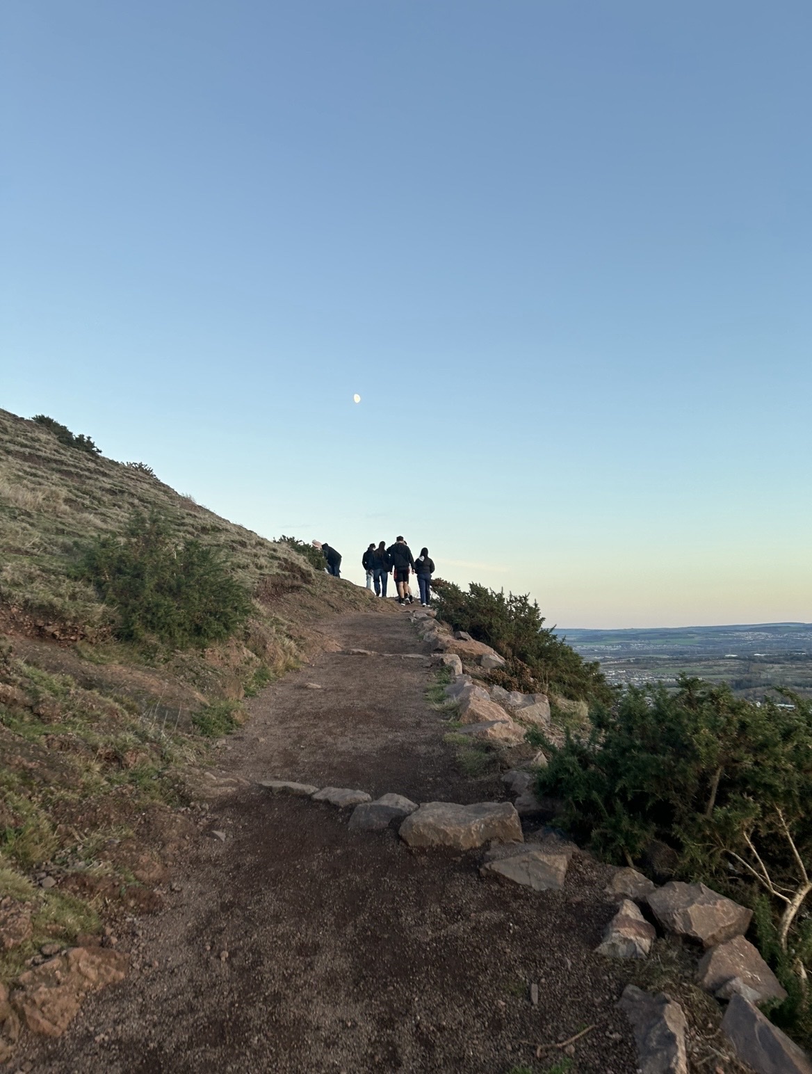 image-8
