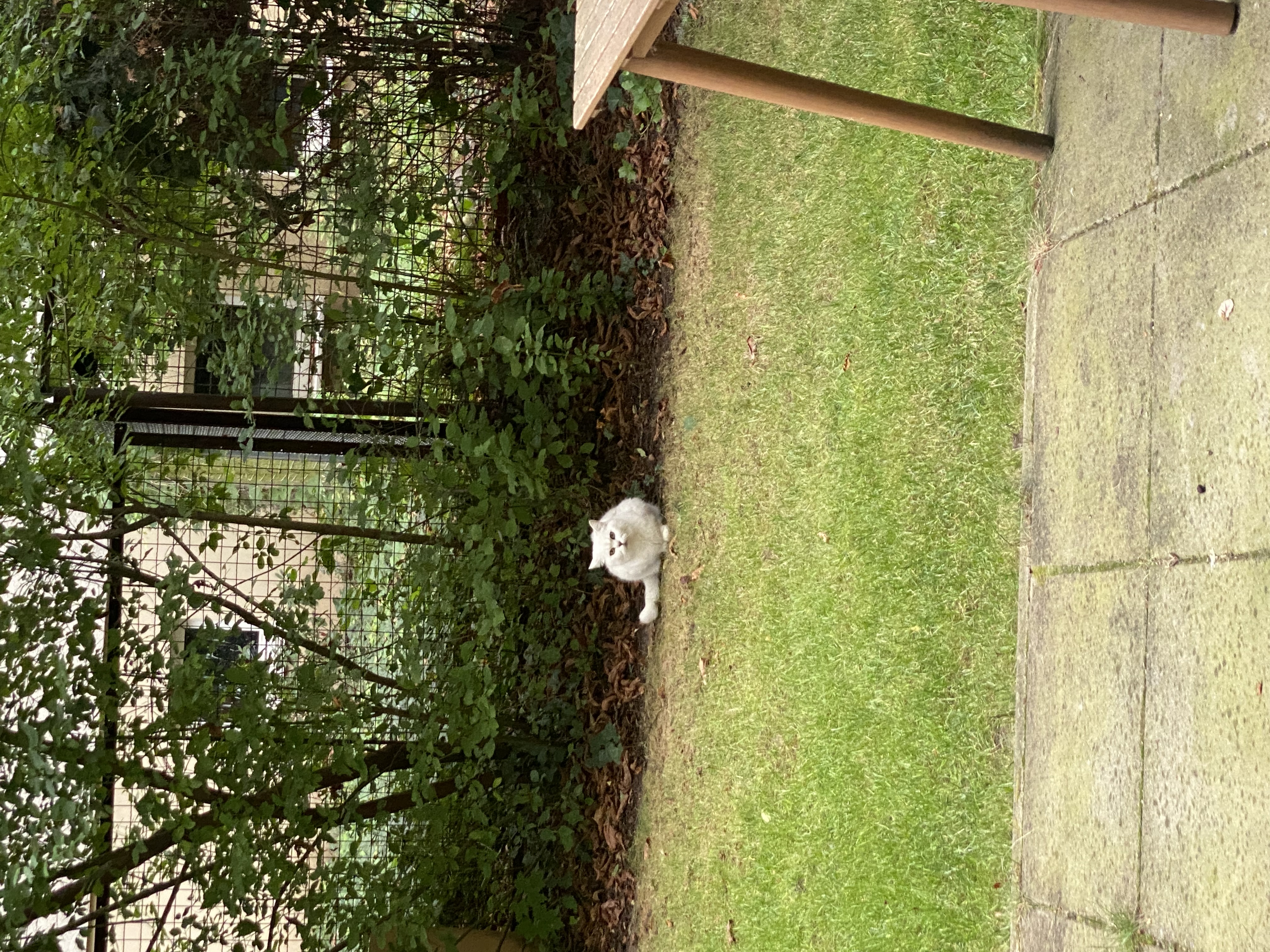 image-15