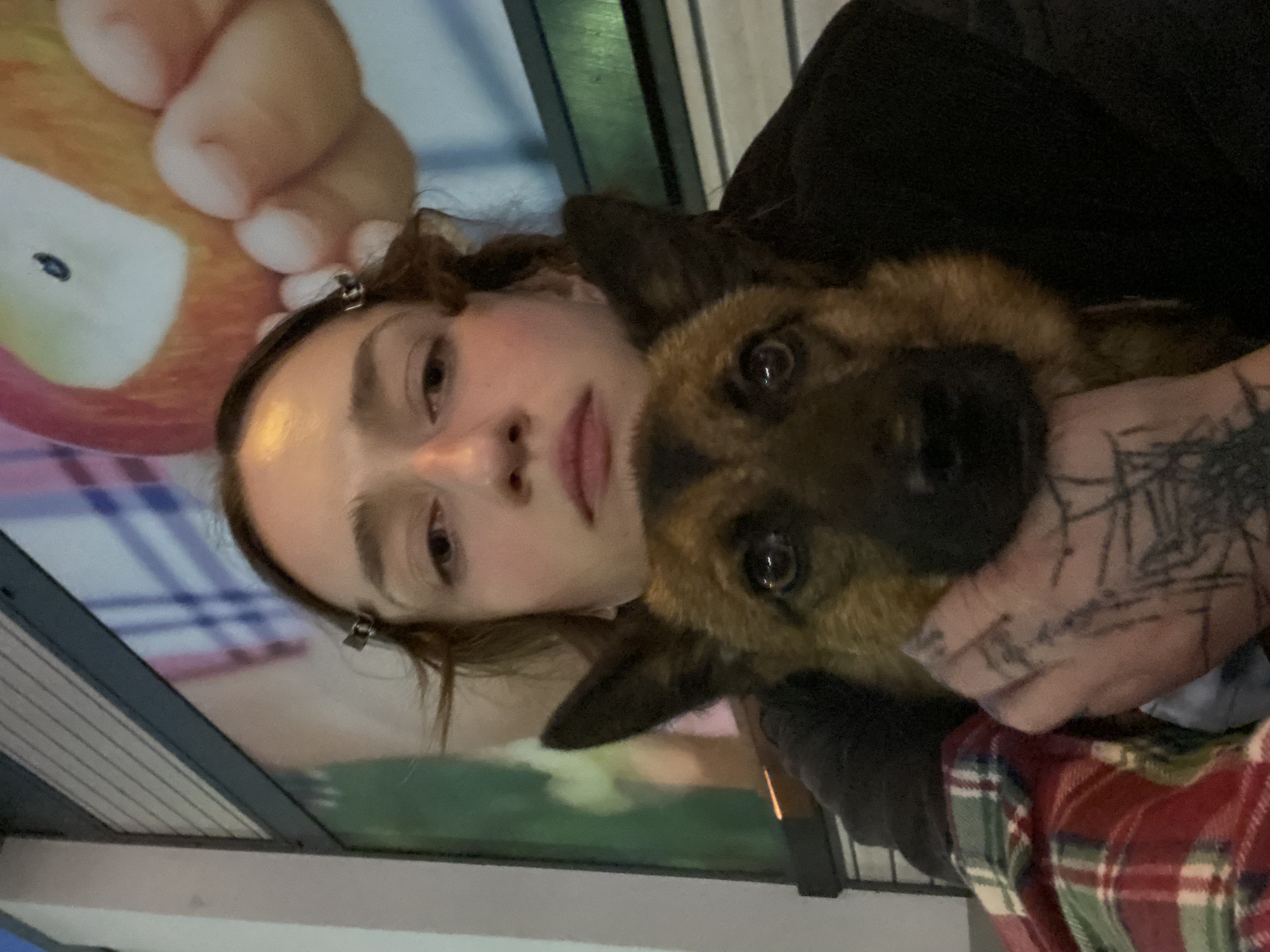 image-6