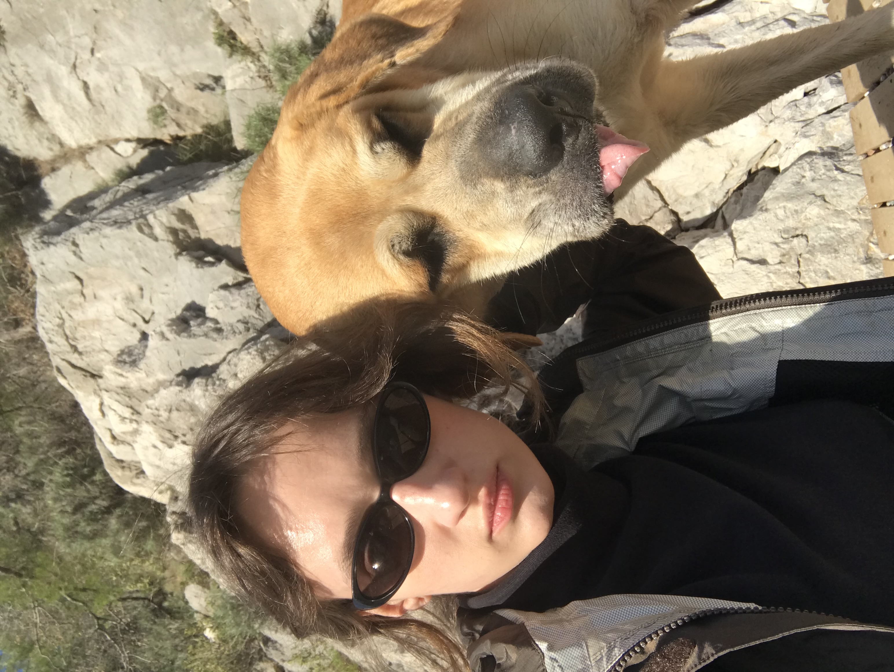 image-8