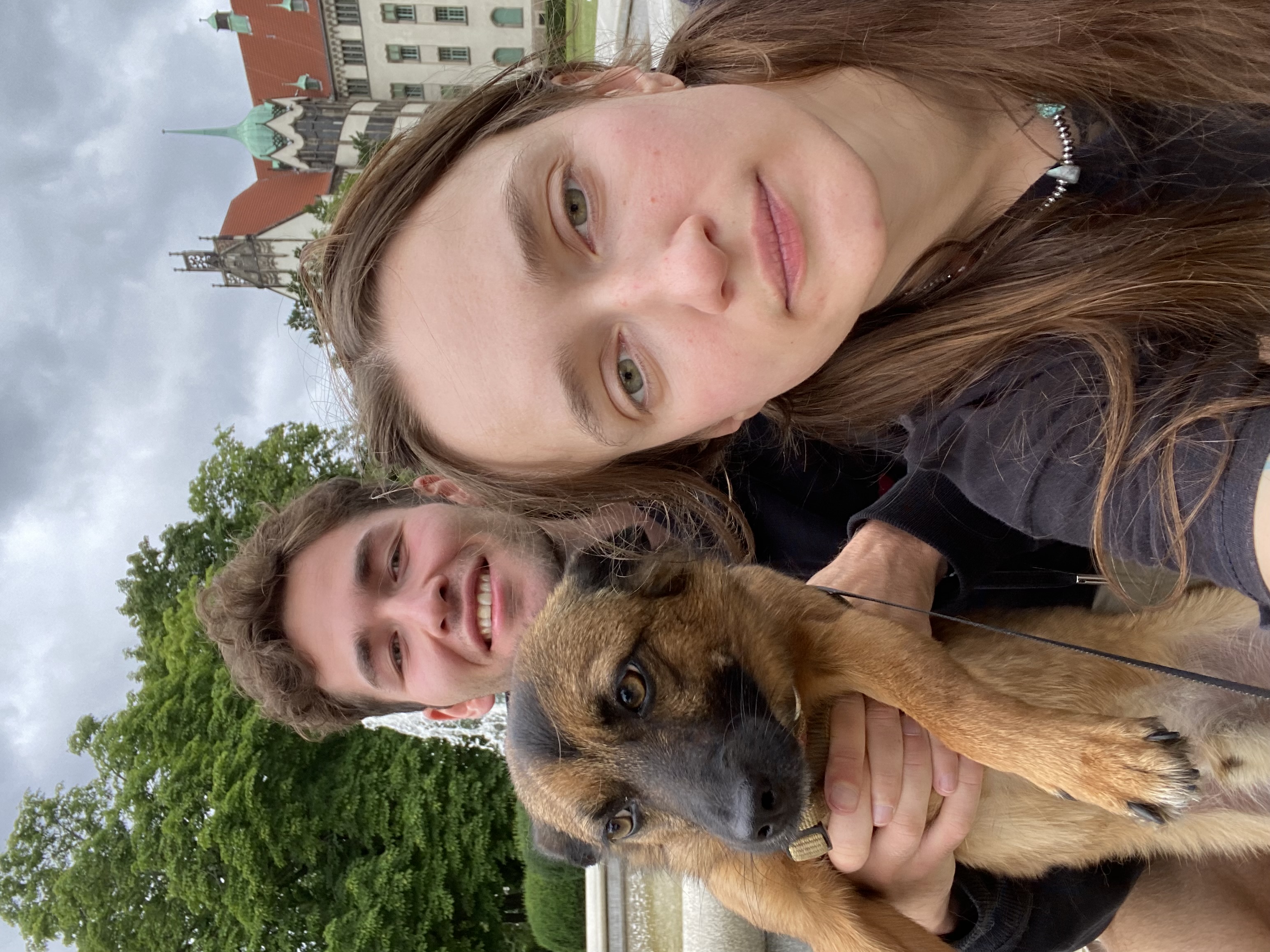 image-11