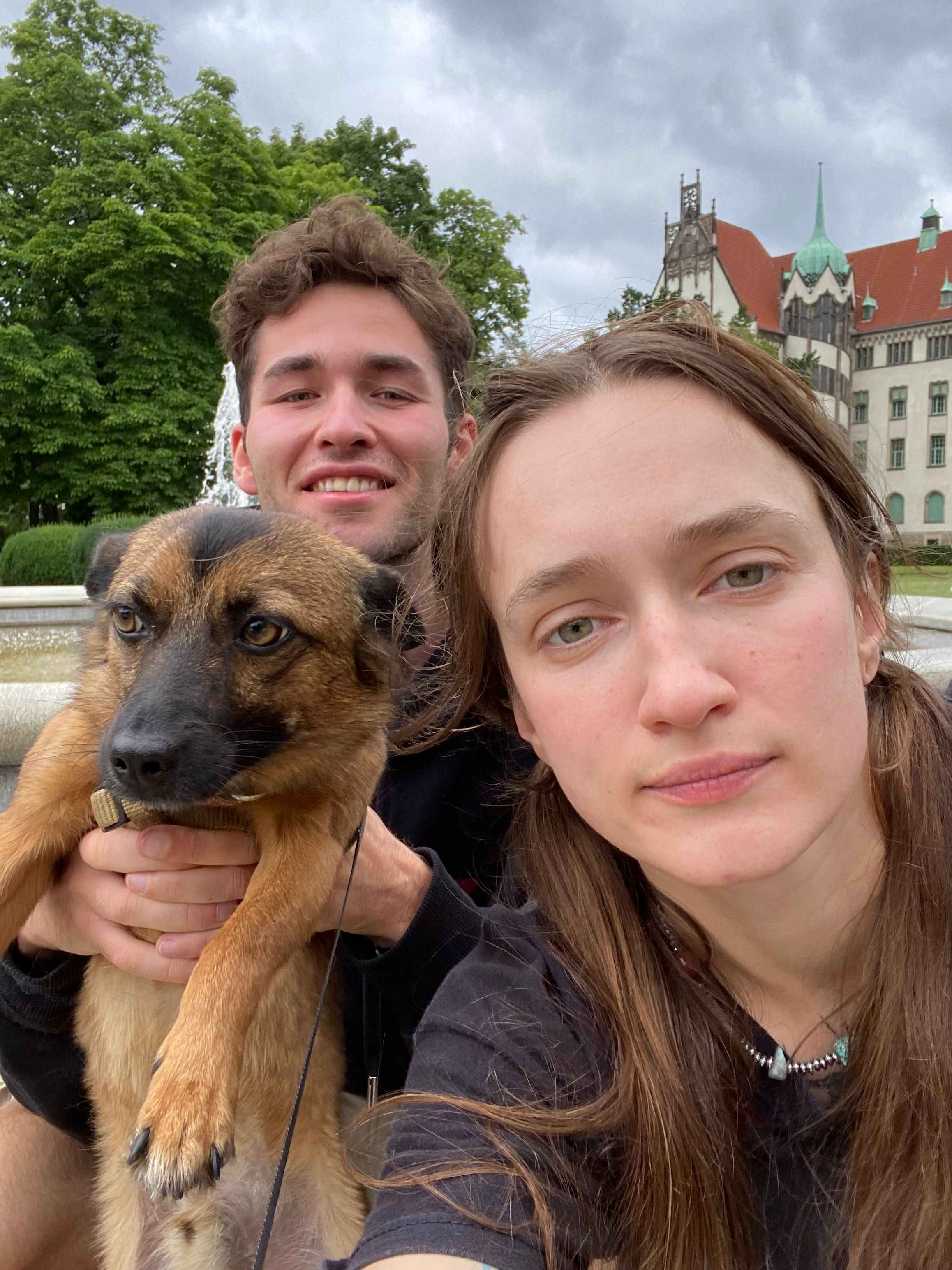 image-11