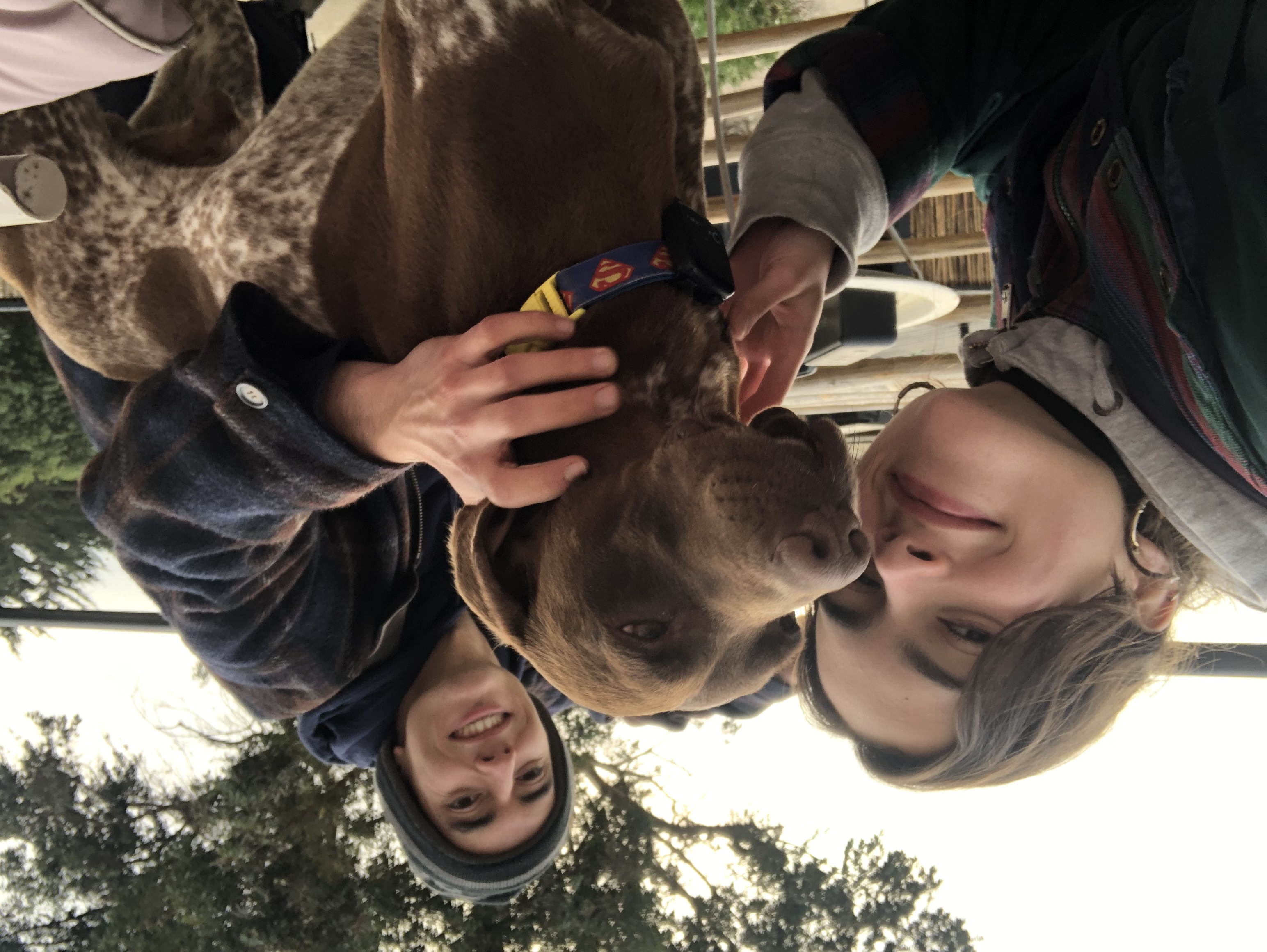 image-10