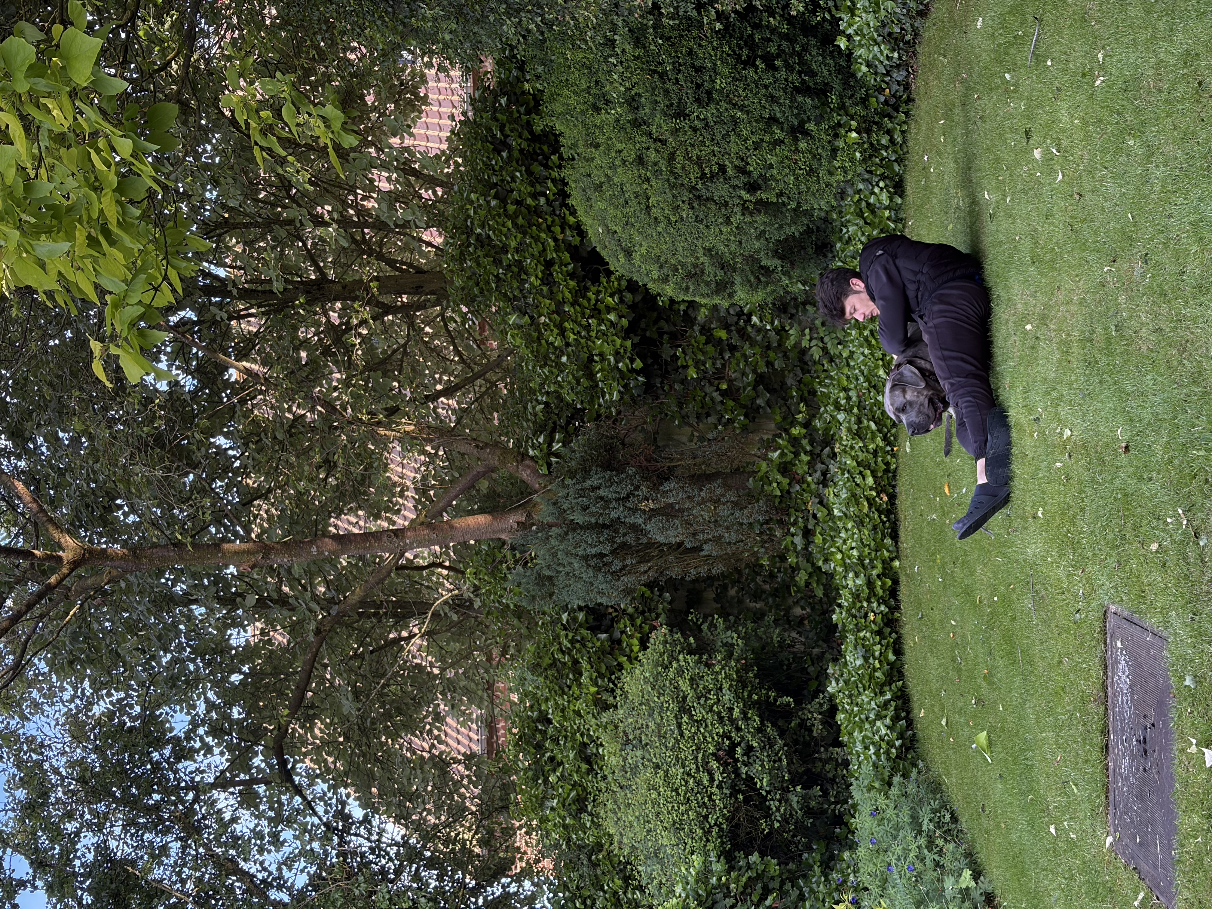 image-4